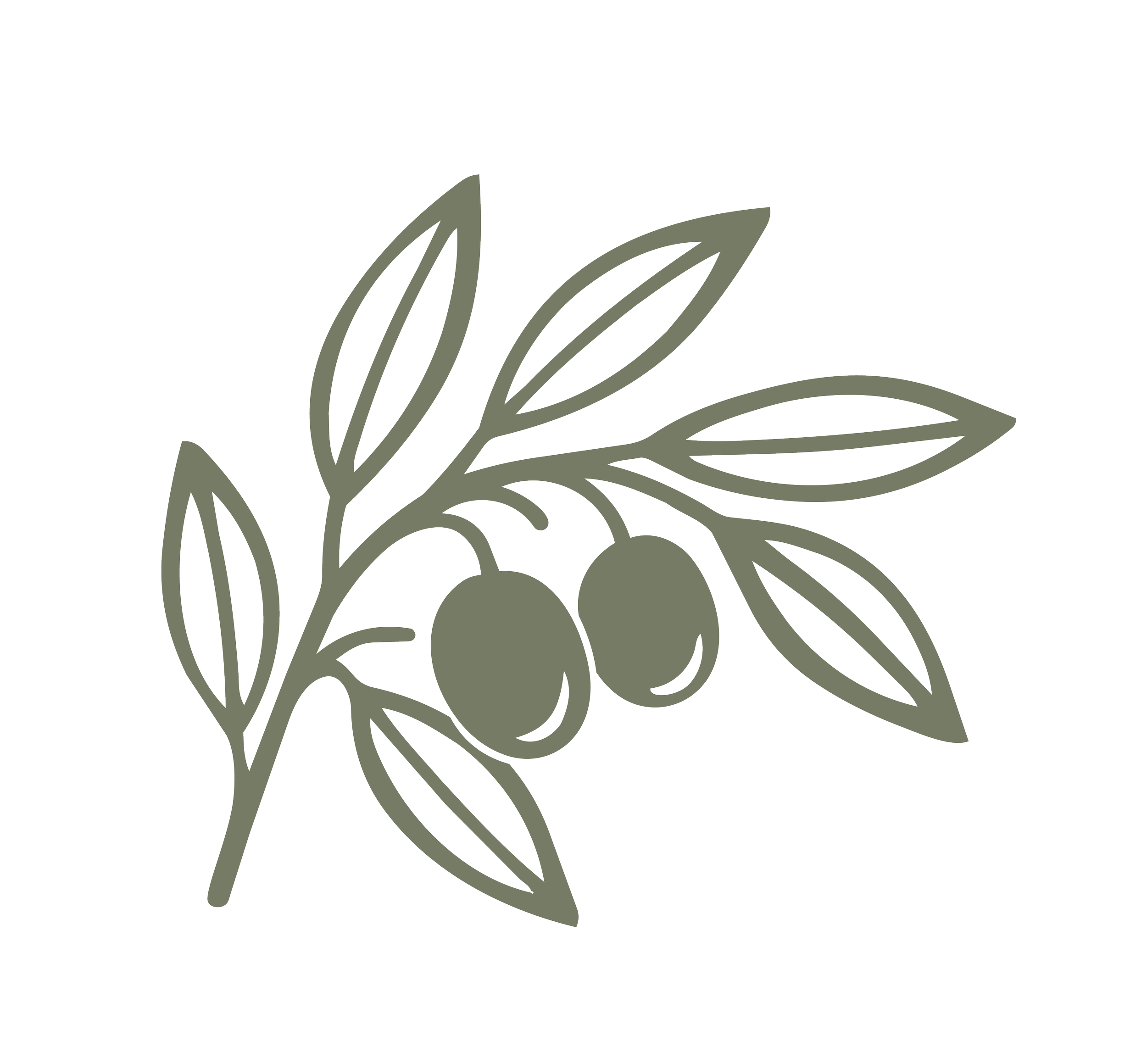 Outline illustration of green olive branch with leaves on black background.