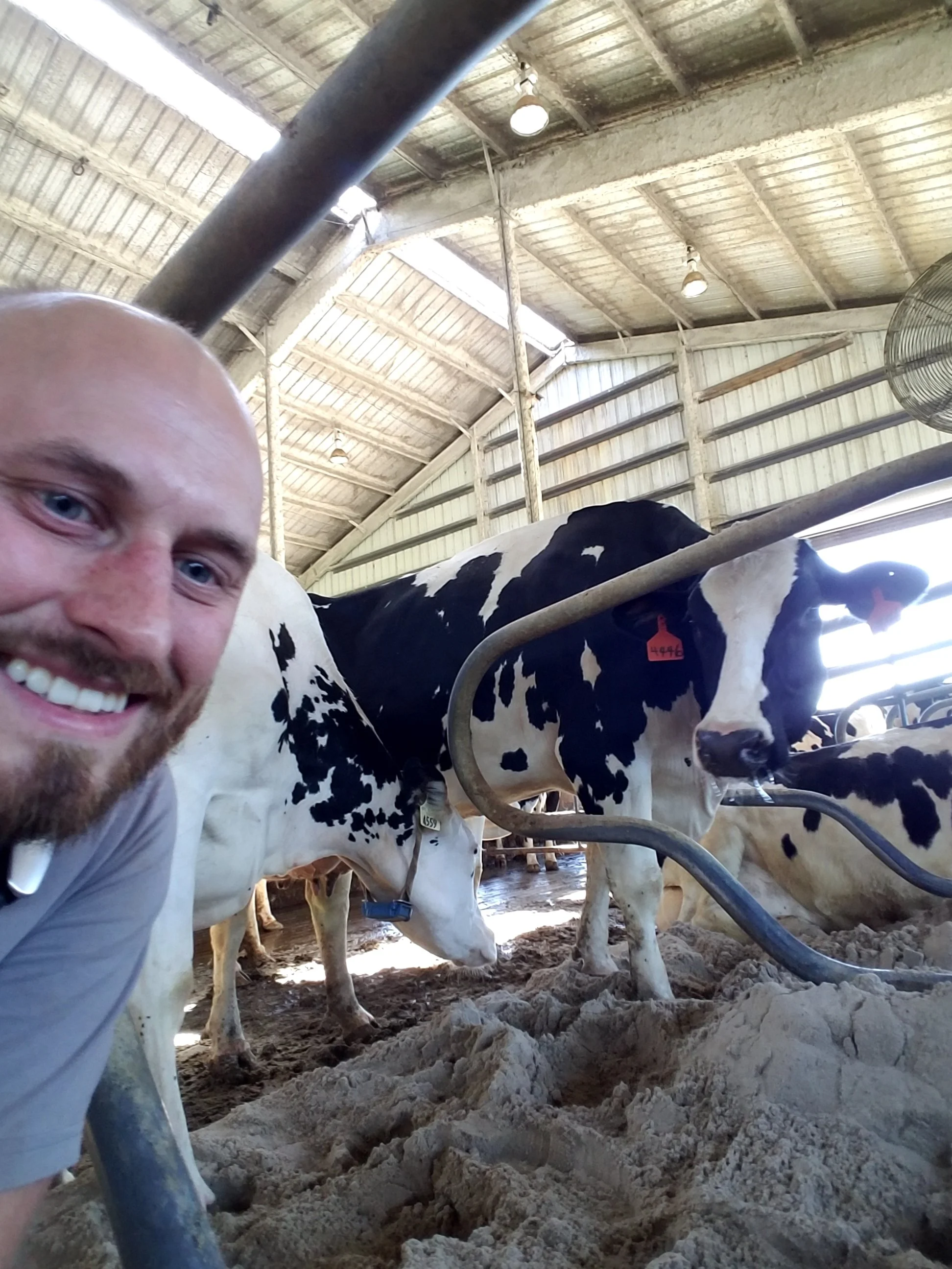 Jeff Kaufman, an Animal Scientist, with skills in ruminant nutrition, technical expertise in animal nutrition and health, development of feed additives, validation of animal solutions, and training and education of team members.