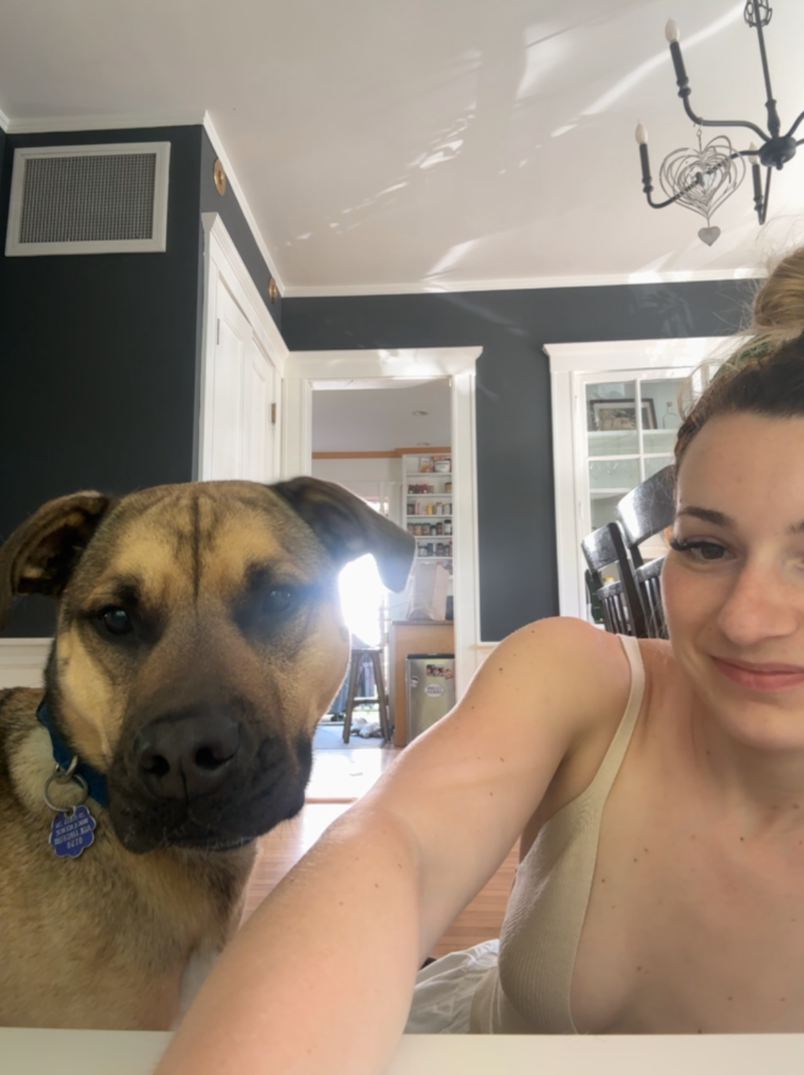 A woman with a bun hairstyle smiling at the camera while taking a selfie with a friendly brown and black dog with a blue collar, inside a home with dark and white walls, a chandelier, and a view into a kitchen area.