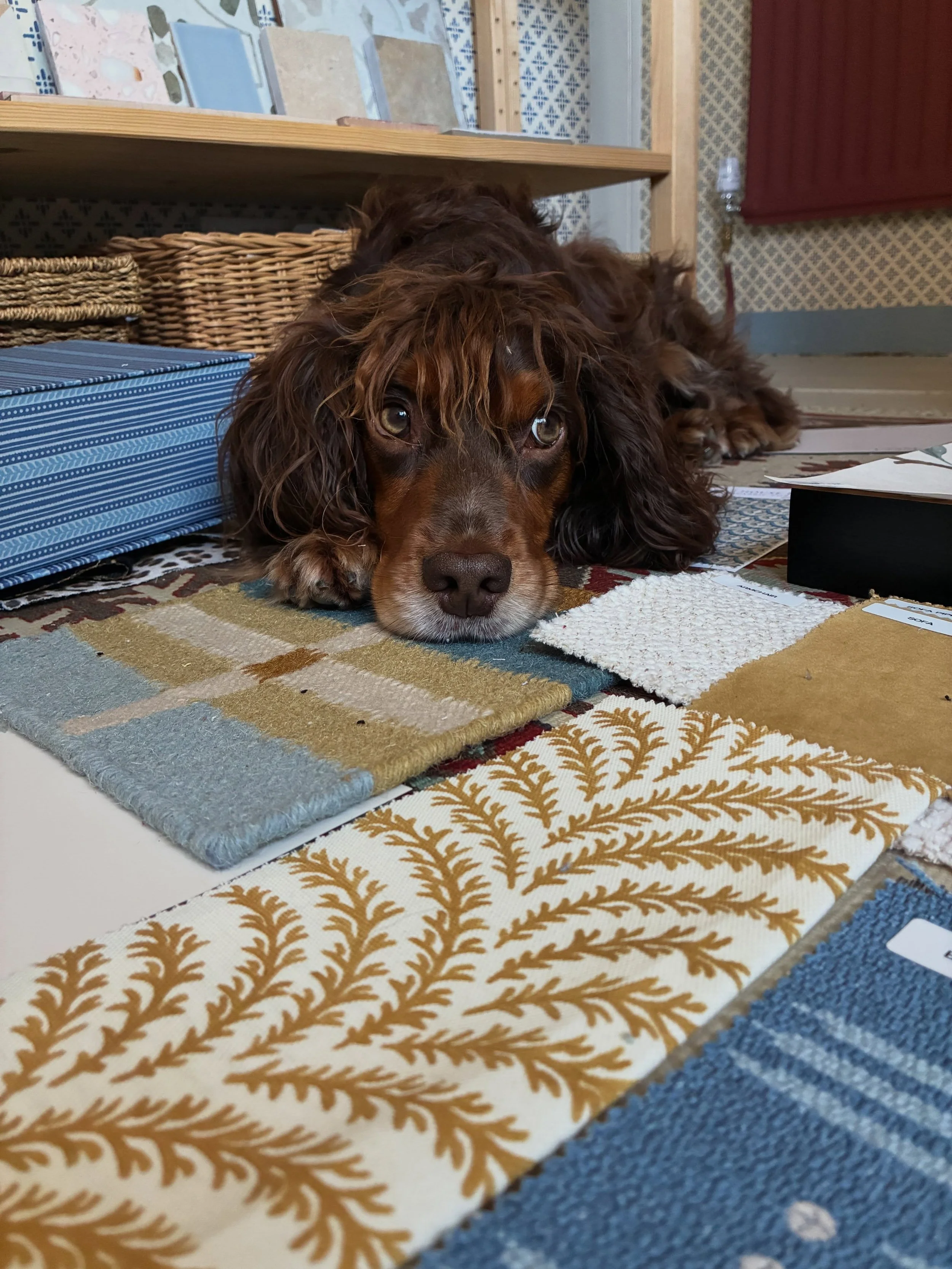 BTS from this week and it&rsquo;s been a busy one! 

A fabulous mix of being out and about and desk time. I visited Wow!House @designcentrech with some design friends and tied in a sourcing trip. 

I met with the wonderful @emmawebbcollectiveltd to l
