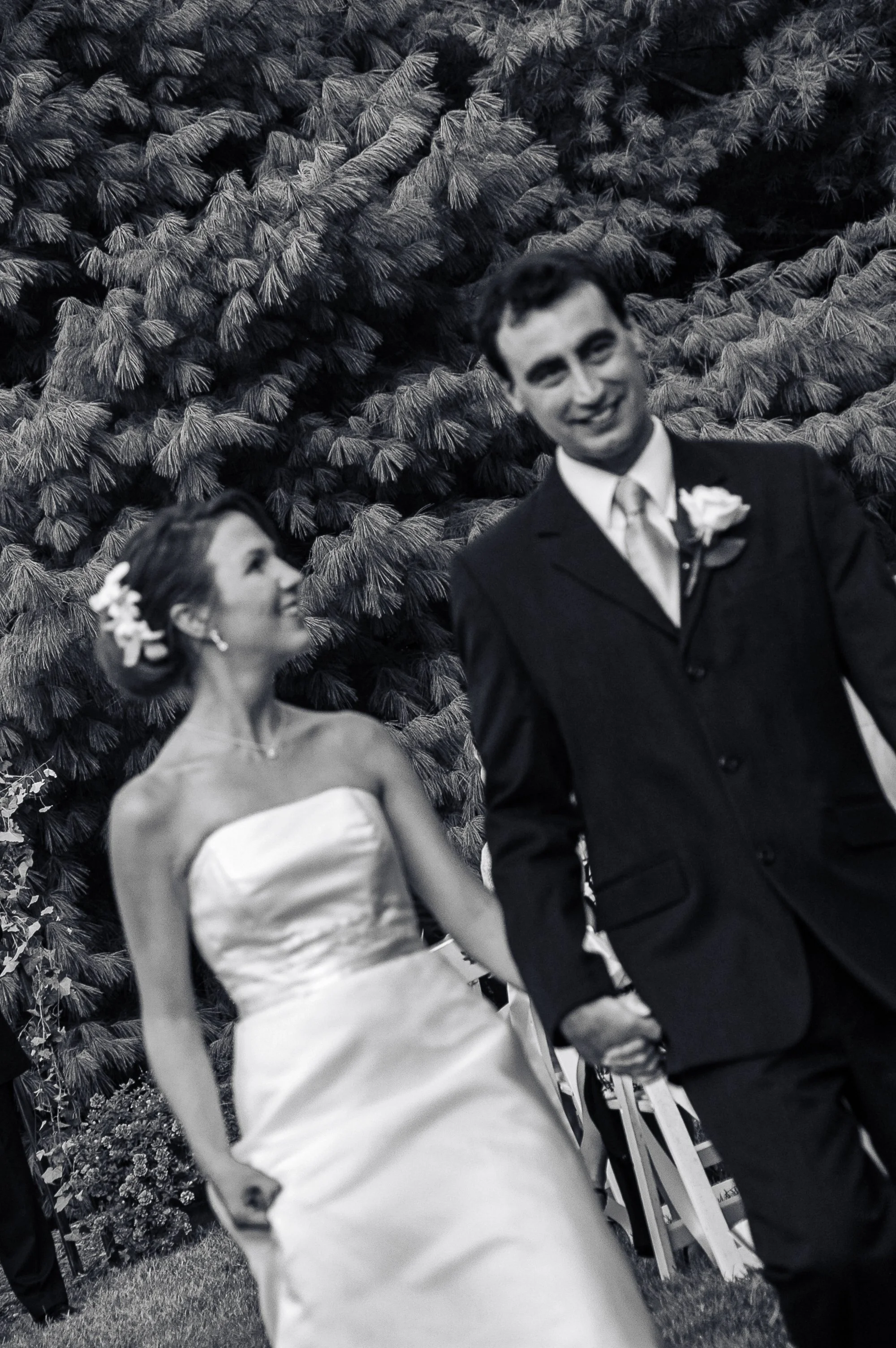 A black-and-white photo of a groom and bride holding hands at a wedding, standing outdoors with a large pine tree in the background. The groom is smiling and wearing a suit with a boutonniere, while the bride, with a floral hairpiece, is looking at him.