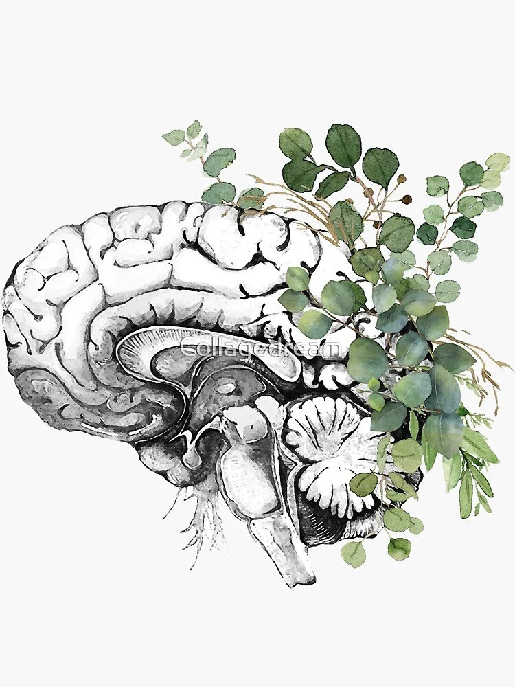 An artistic black and white drawing of a human brain with green leafy plants growing from it.