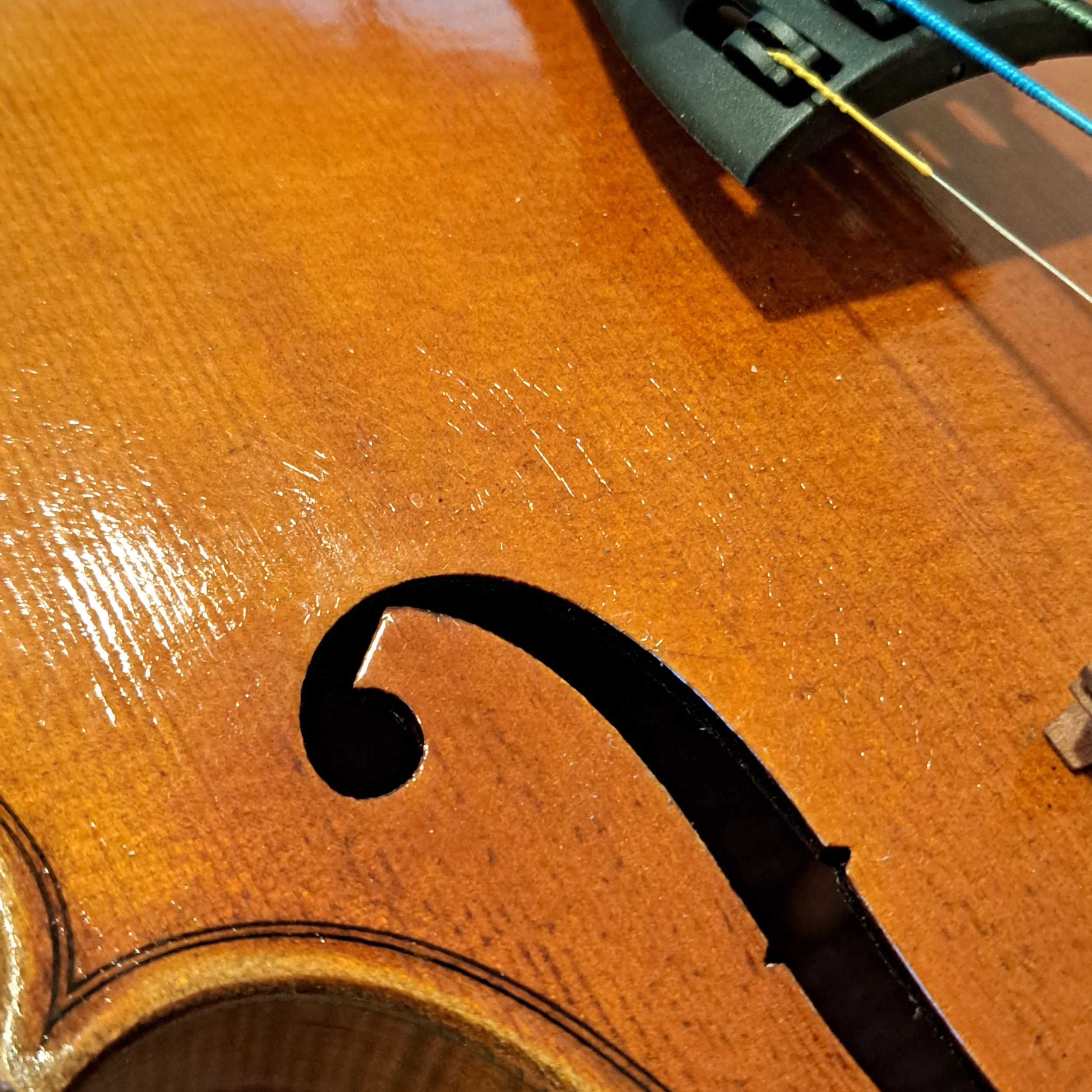 20260930_121103.jpg