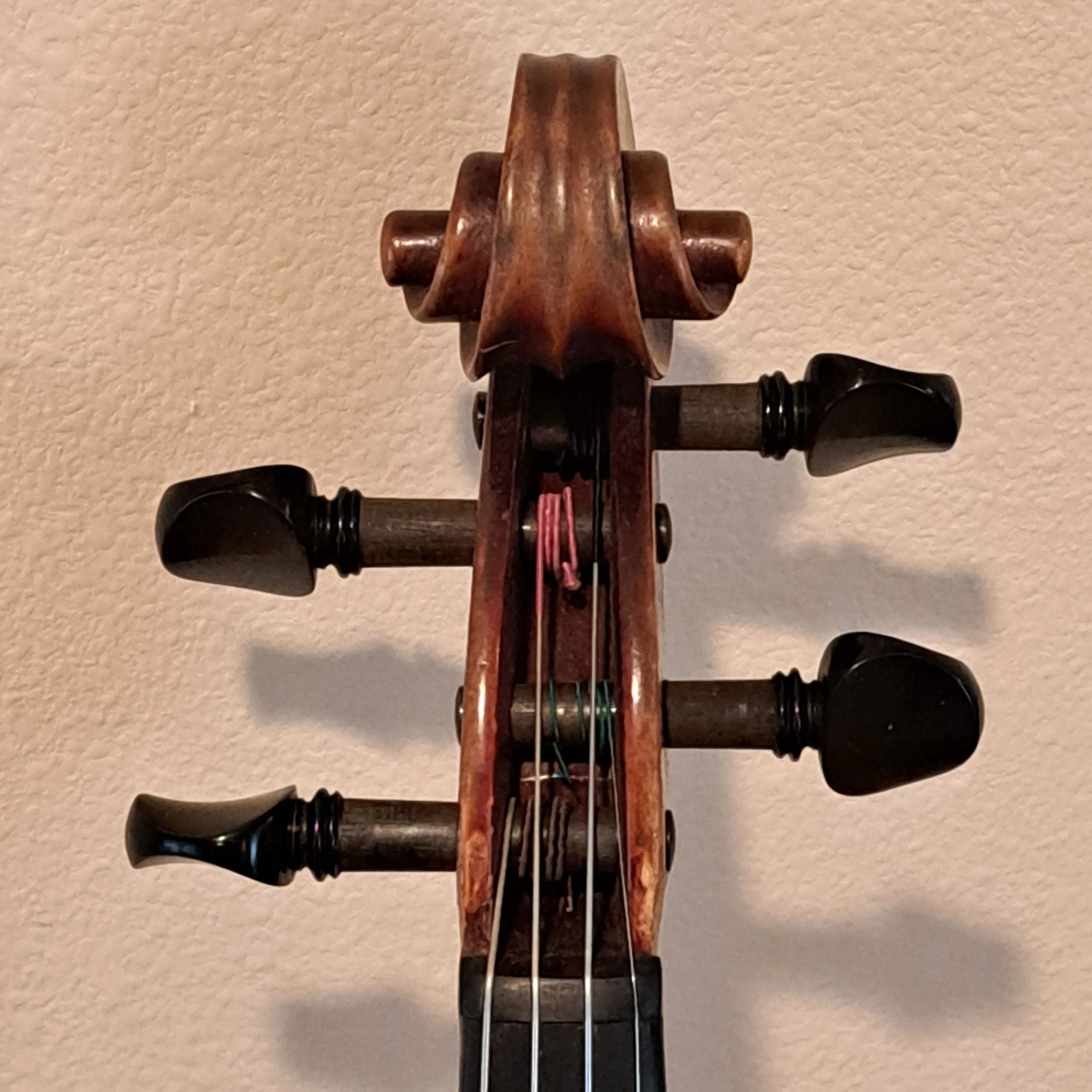 20260831_125426.jpg