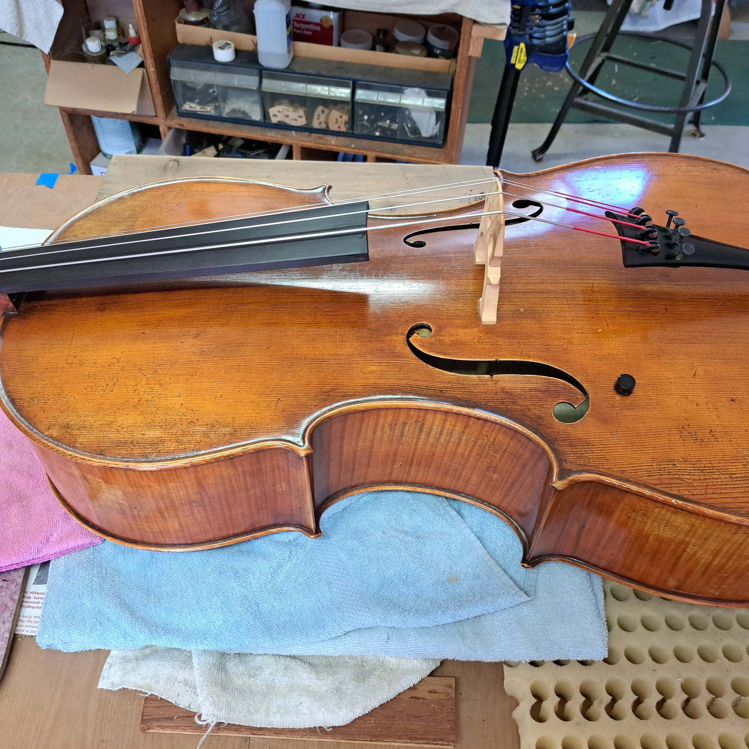 20250308_141419.jpg