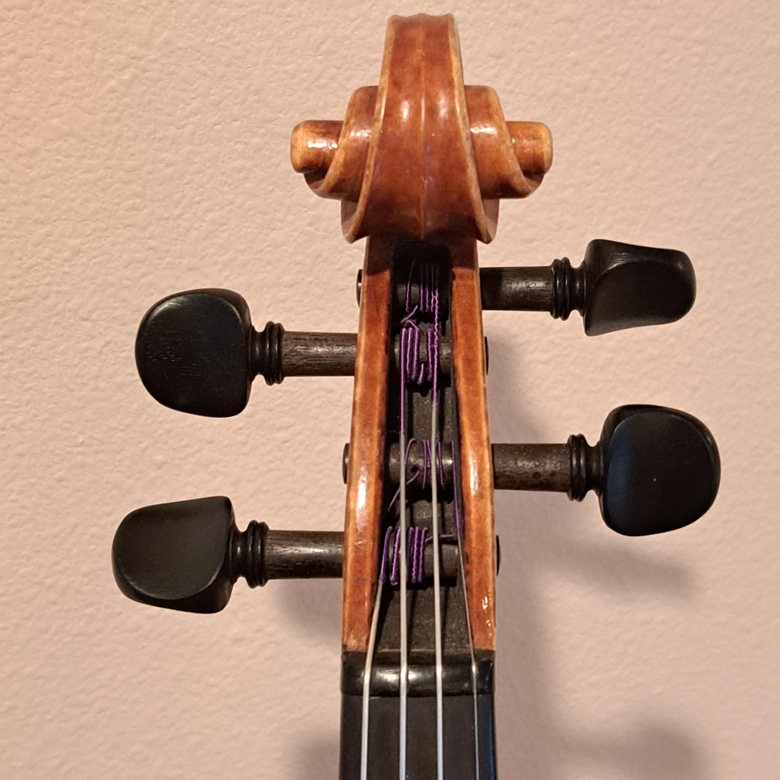 20260918_074939.jpg