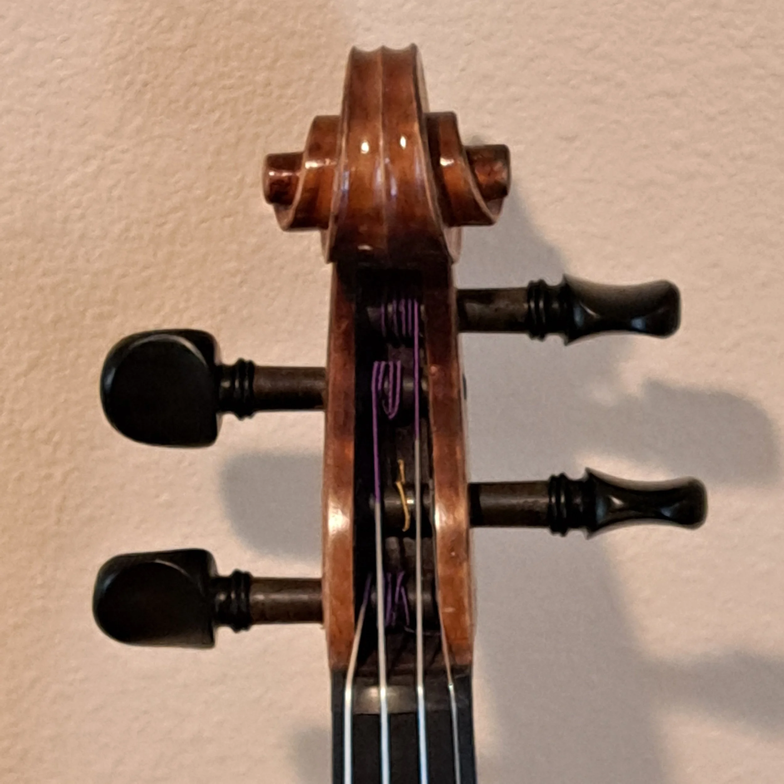 20260930_115943.jpg