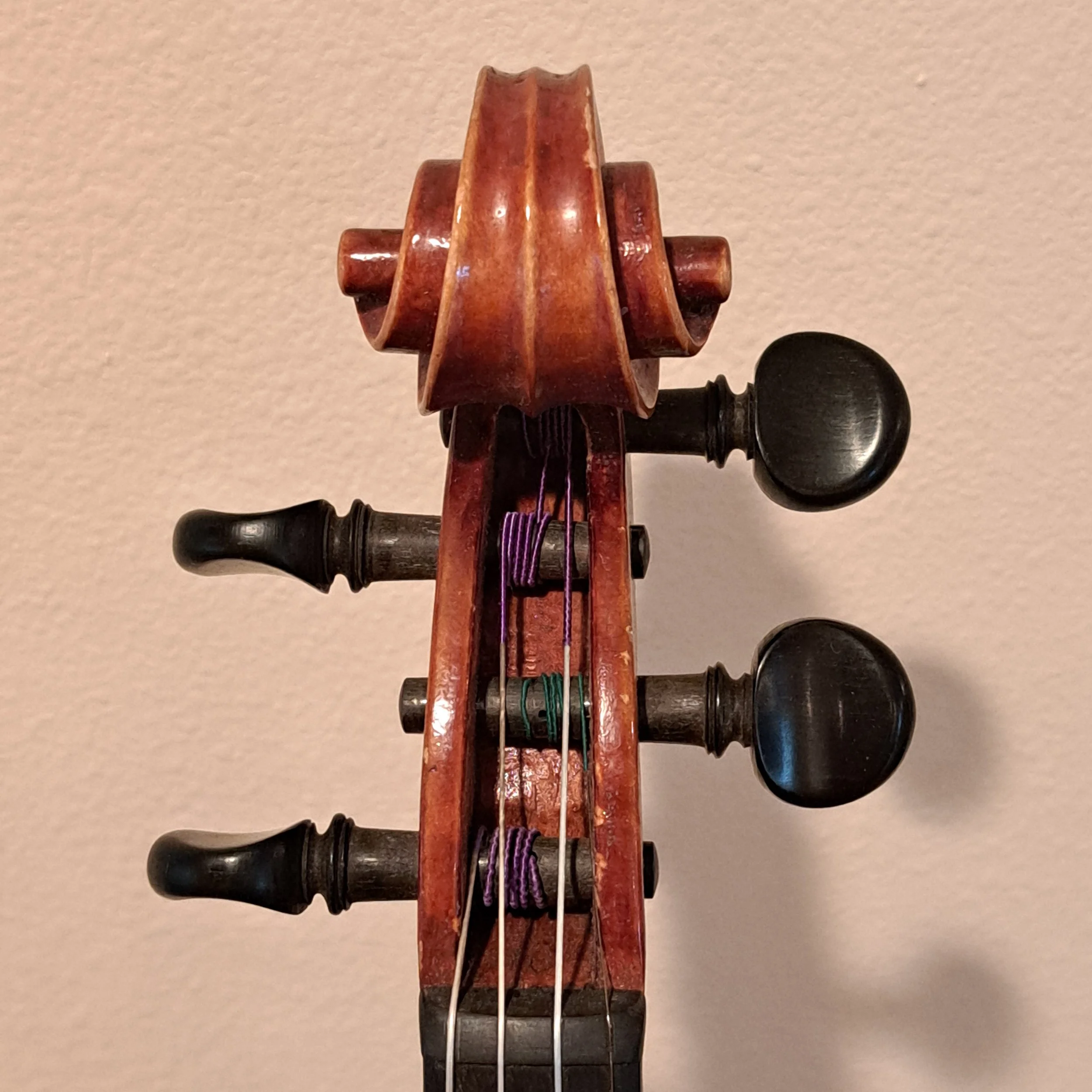 20260903_175517.jpg
