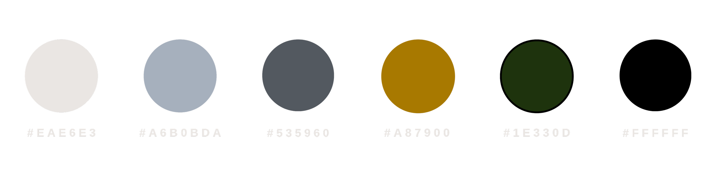 Six color swatches on a black background, each with hex color codes below.