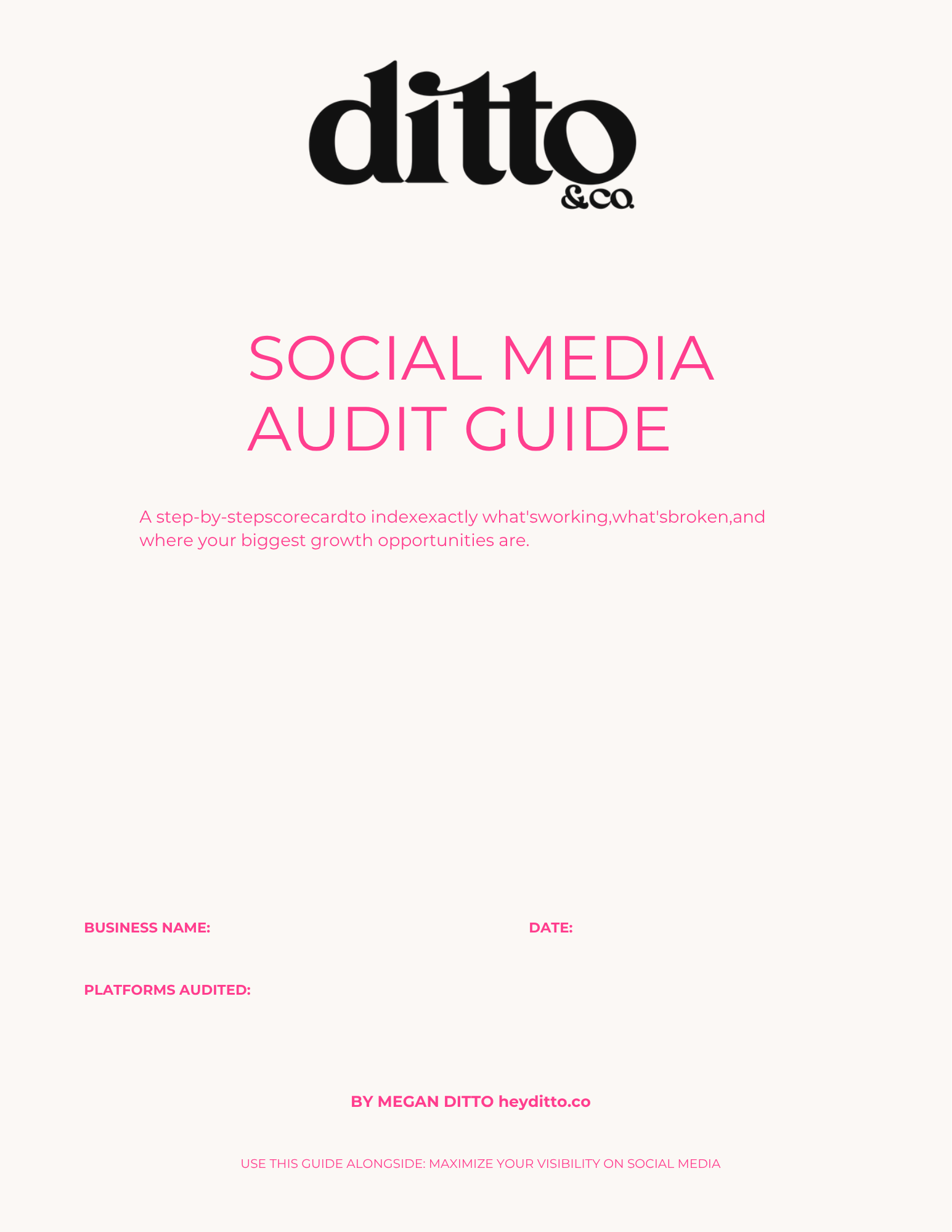 Social Media Audit Guide