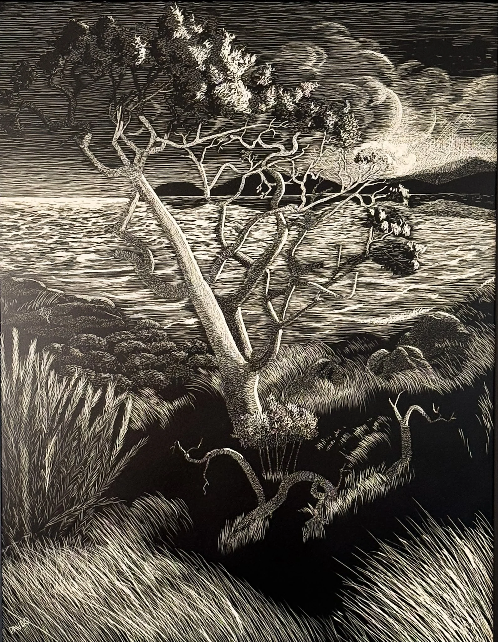 Untitled Etching 5 / Clayboard
