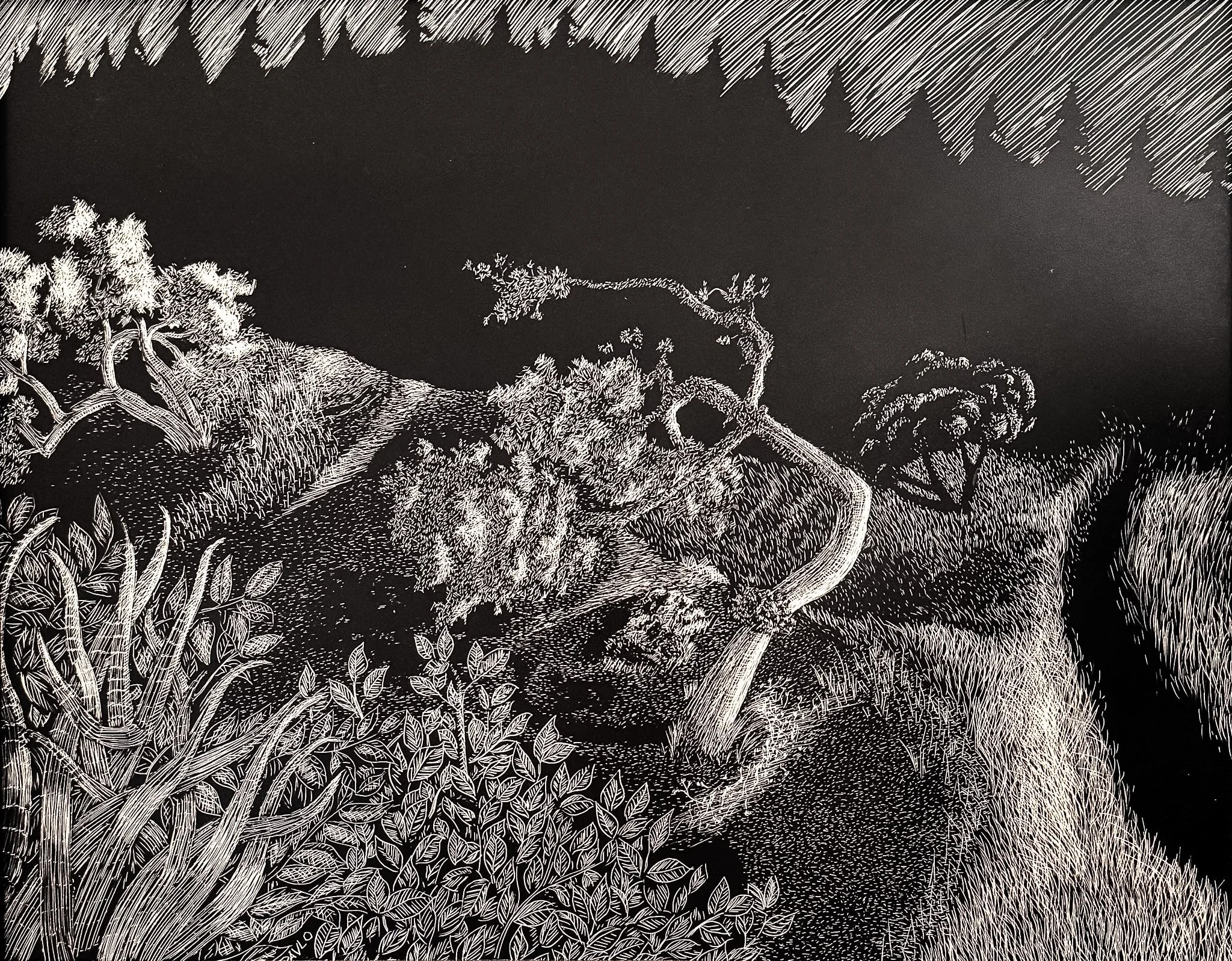 Untitled Etching 8 / Clayboard