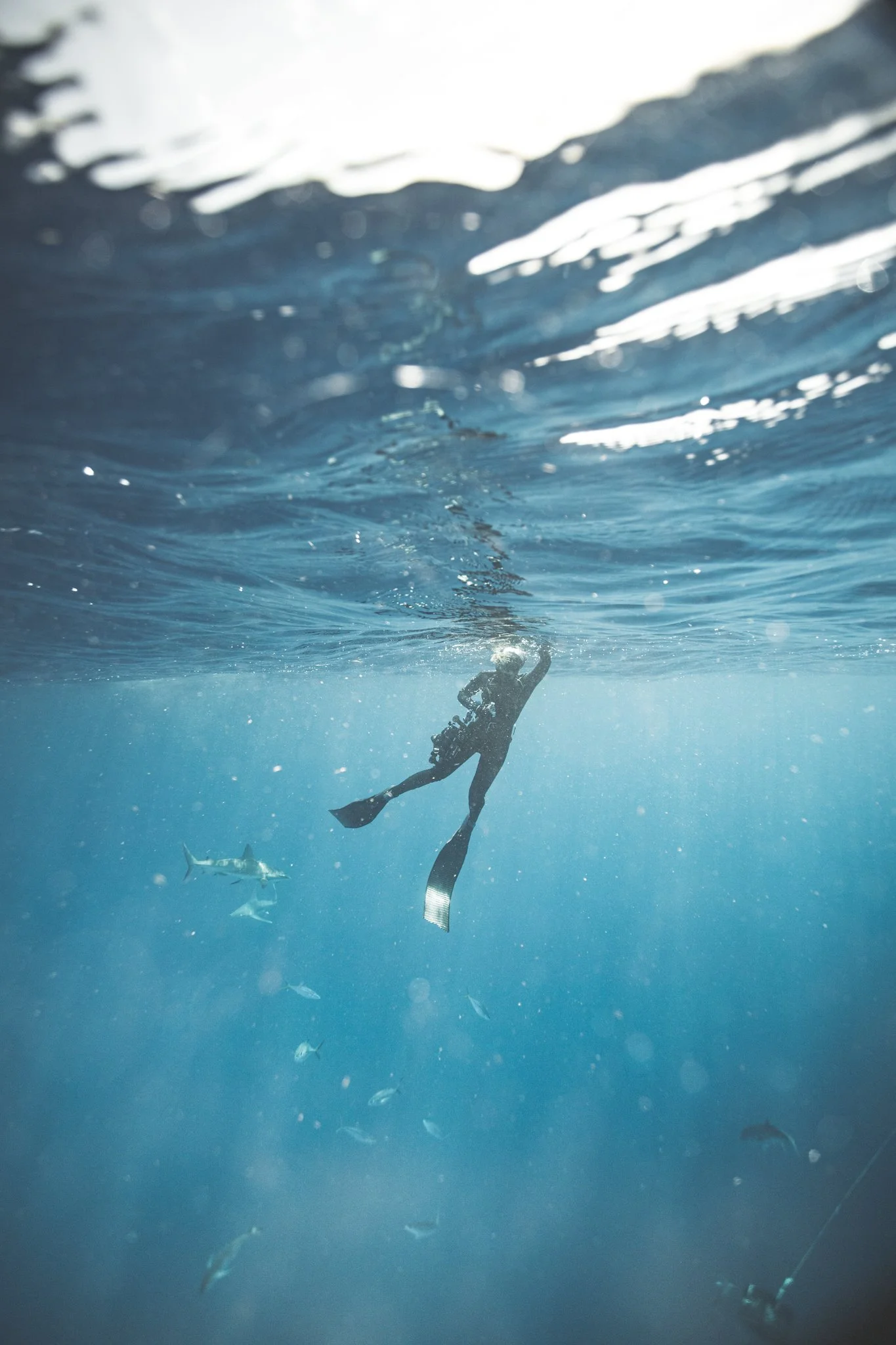 Underwater scene showing a diver holding a camera, swimming in the ocean, with small fish swimming around.