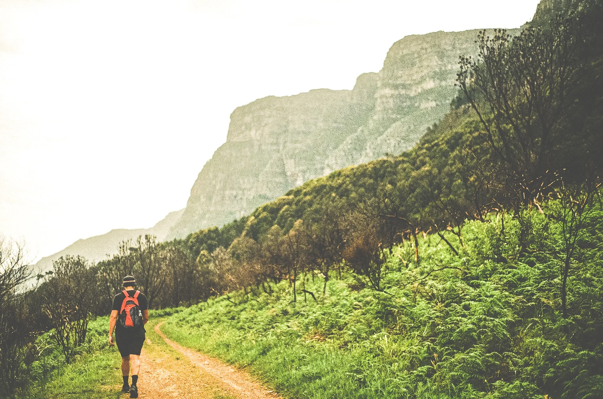 A hiker walking along a dirt trail through green vegetation with mountains in the background.