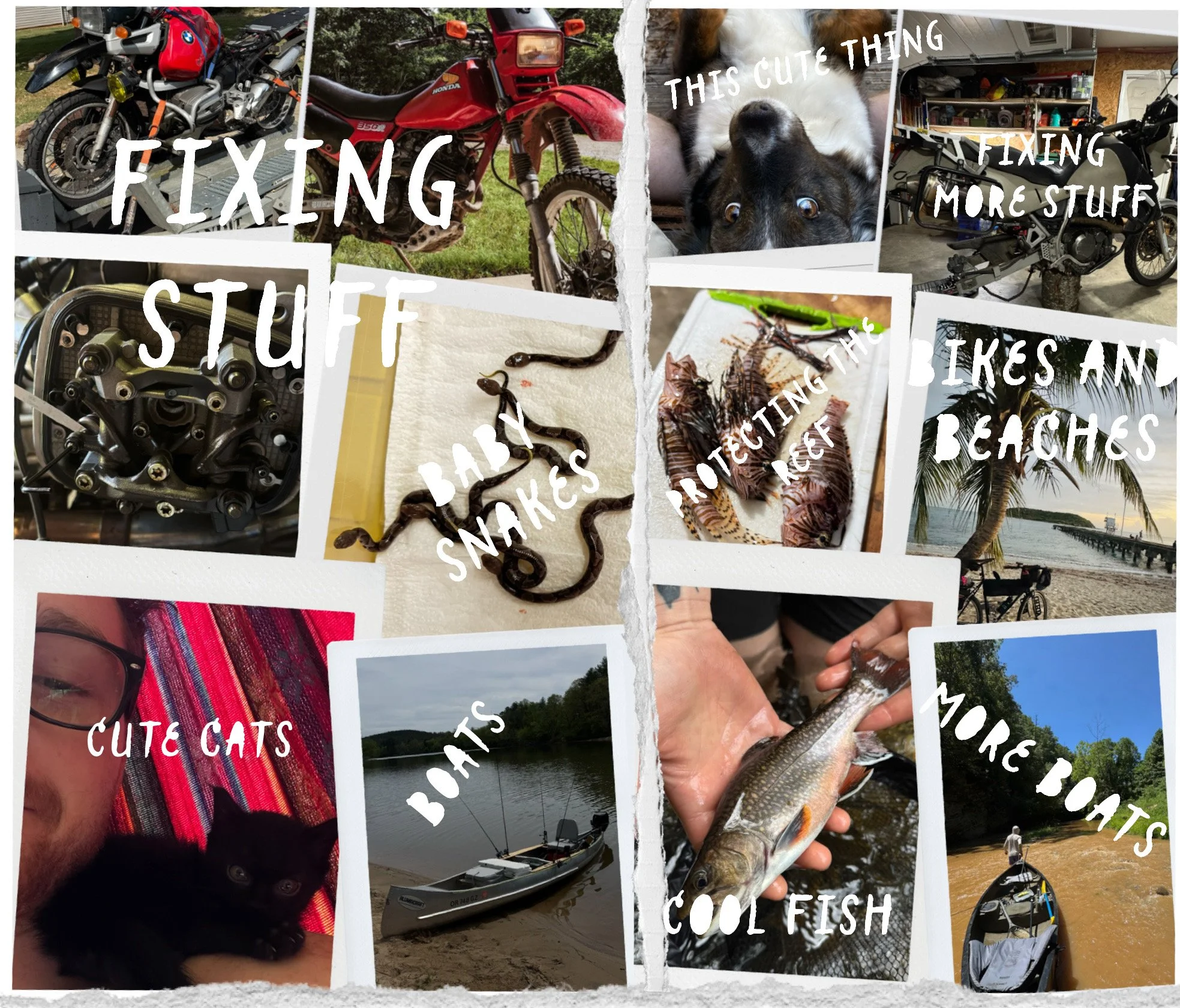 A collage of outdoor activities and hobbies, including motorcycles, fishing, and beach scenes, with overlaid text mentioning fixing things, cute animals, and cool fish.