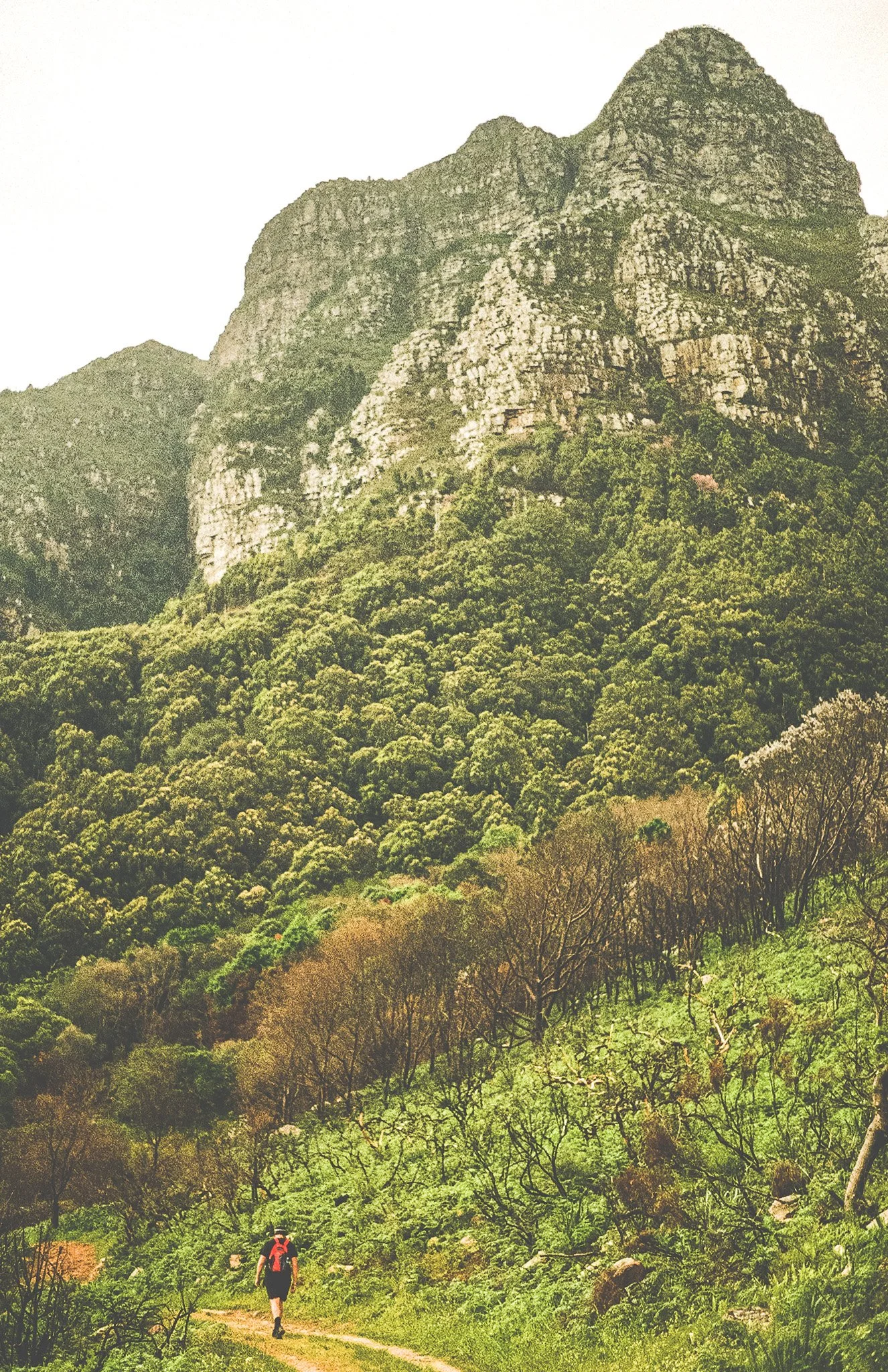 Hiker walking on a trail through a lush green mountain landscape with rocky peaks and forested slopes.
