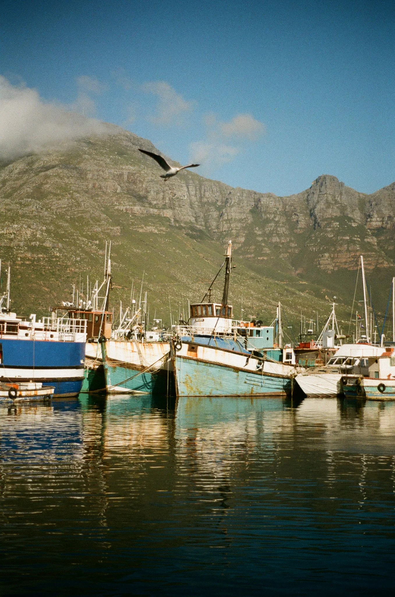 A harbor scene with boats docked on calm water, a mountain with some clouds in the background, and a bird flying in the sky.