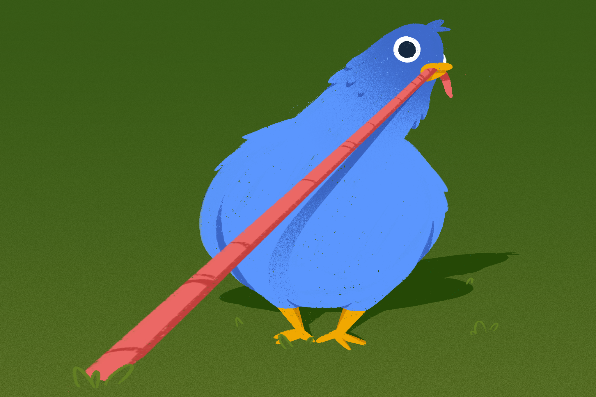 IMG_0383.png