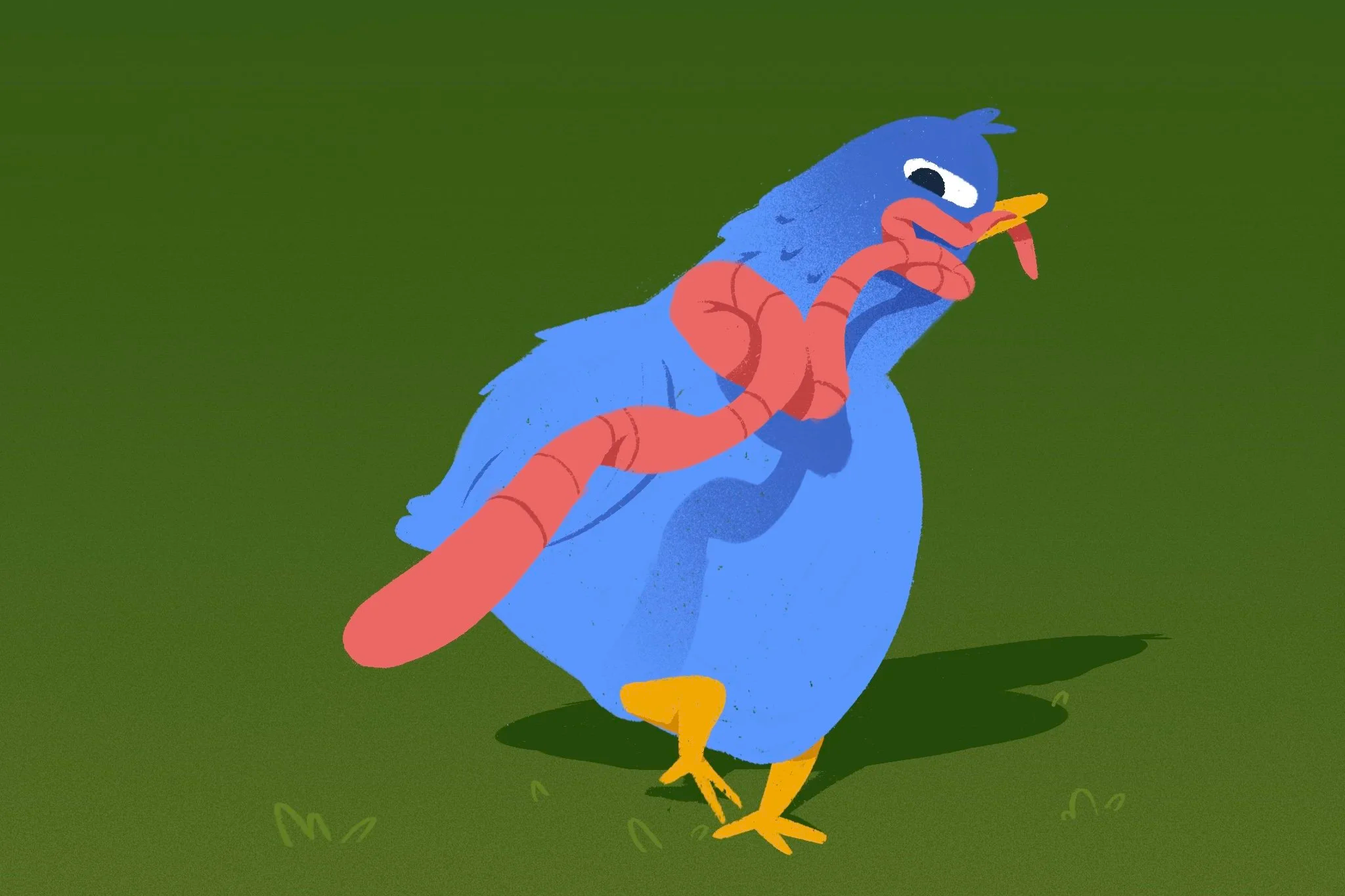 IMG_0384.png