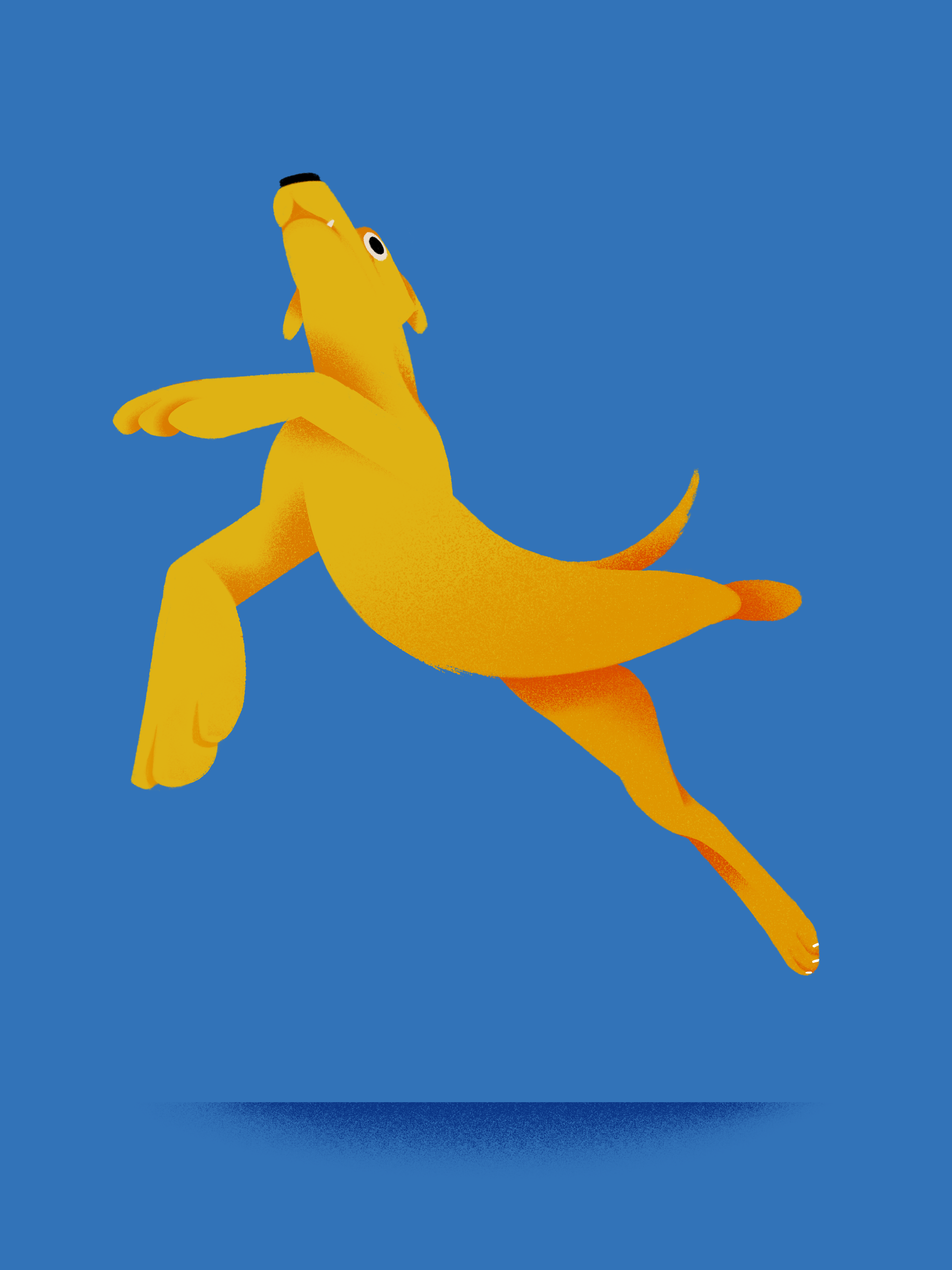 IMG_0724.PNG