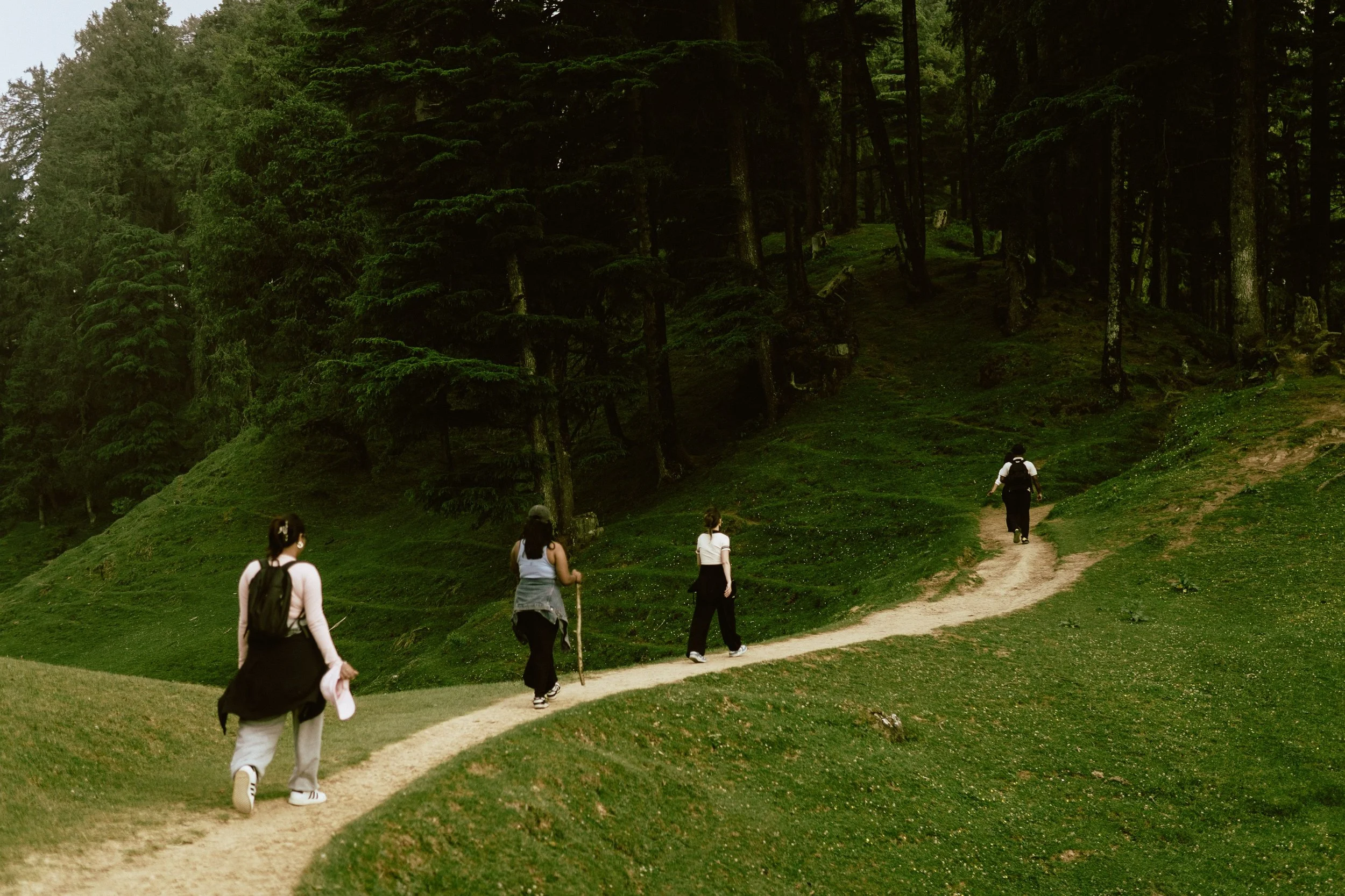 A group of people walking along a dirt path through a green park surrounded by tall trees.