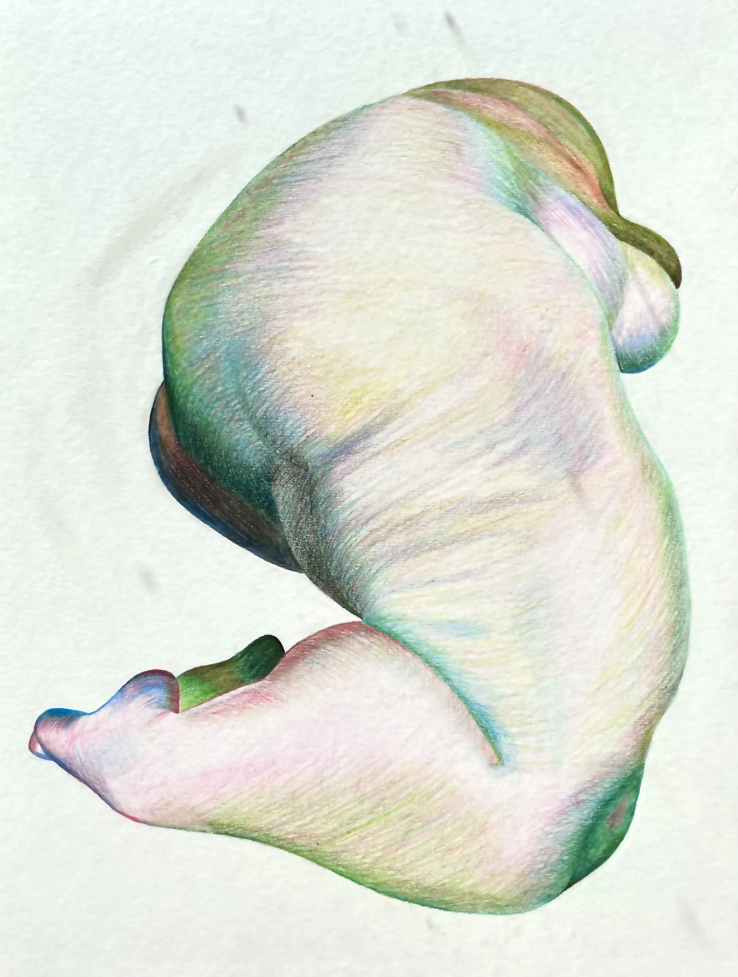 Colorful painting of a woman's body lying on her side with knees bent, foreshortened to emphasize the hip and thigh, in soft pastel-like colors on a white background.