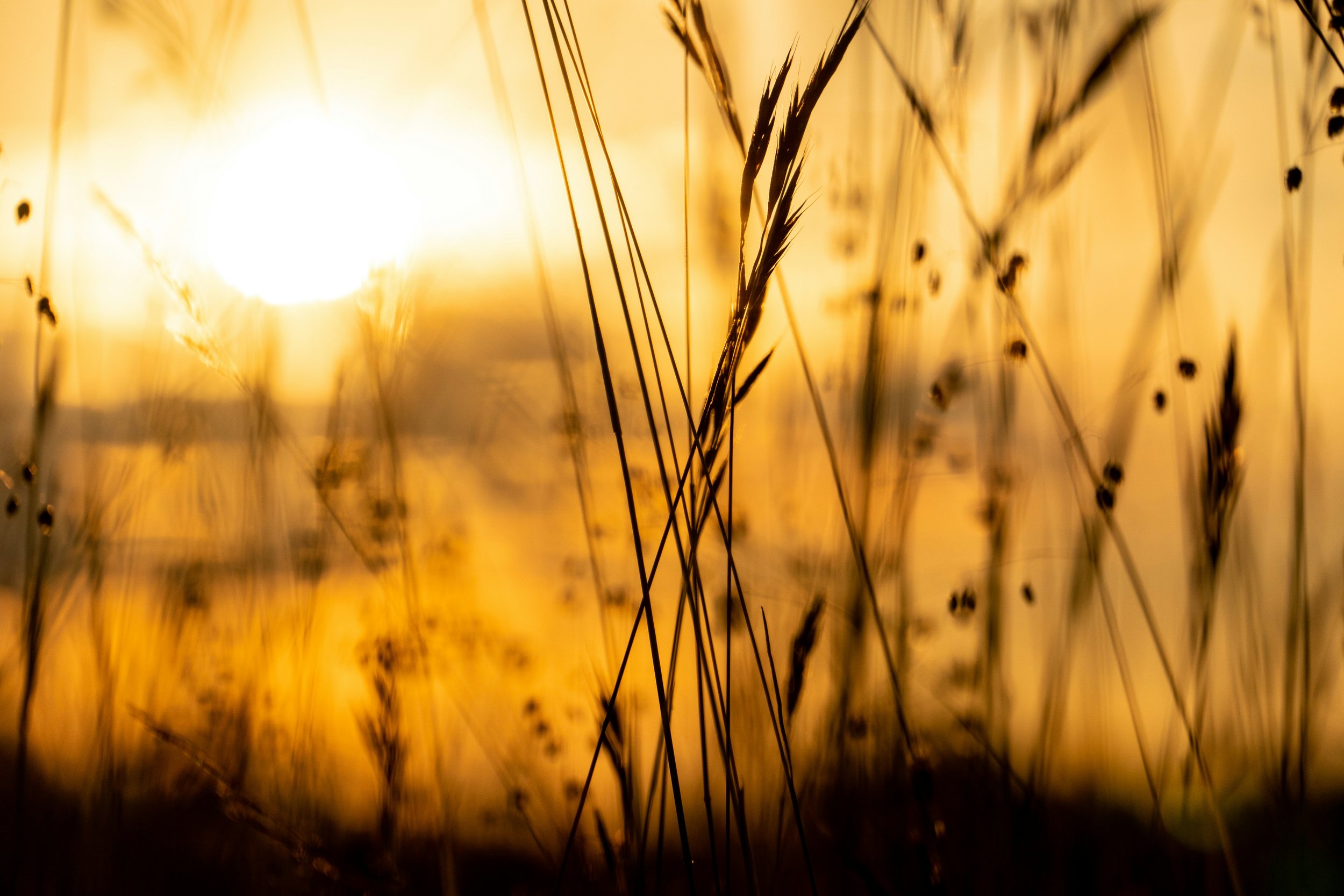 The Friction of Inconsistent Capacity: Managing Boundaries When Your Energy Shifts