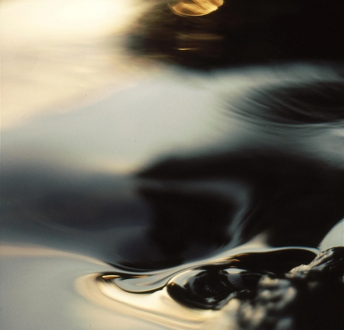 Close-up of a water surface with ripples and reflections, blurred background with a mix of dark and light tones.