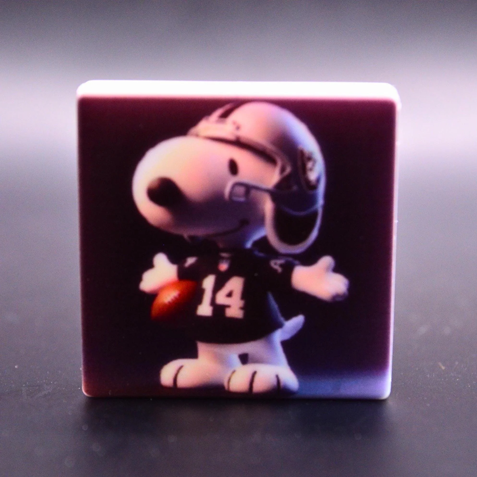 AFC Sports Team Player Focal Bead • Double-Sided • Custom Team Choice • 1pc