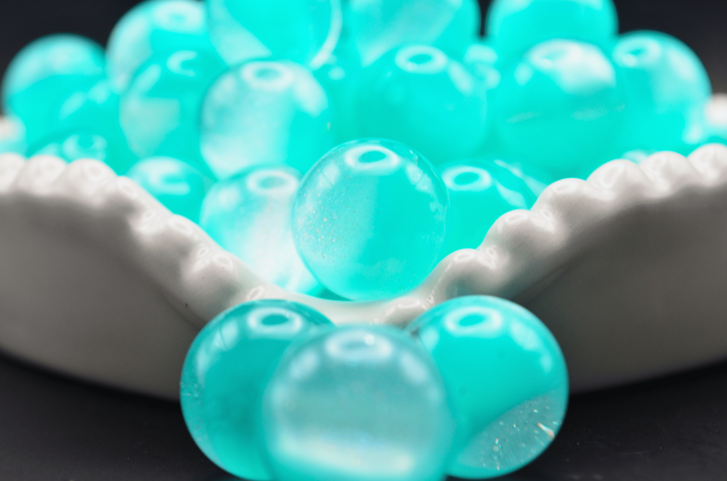 DSC_0223.png