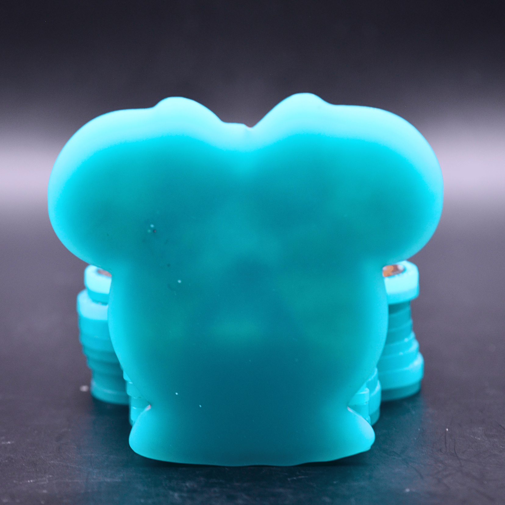 DSC_0209.png