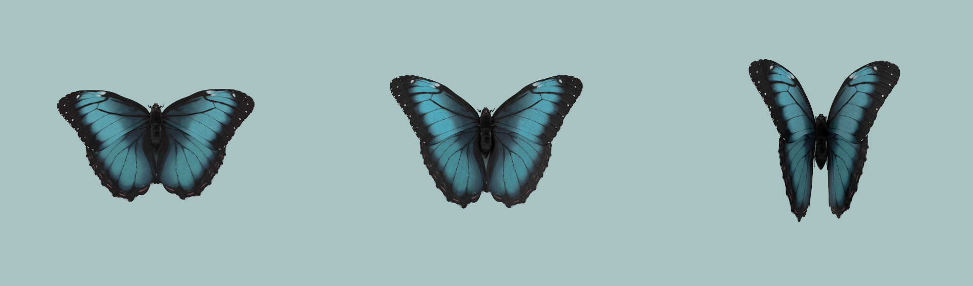 9.png