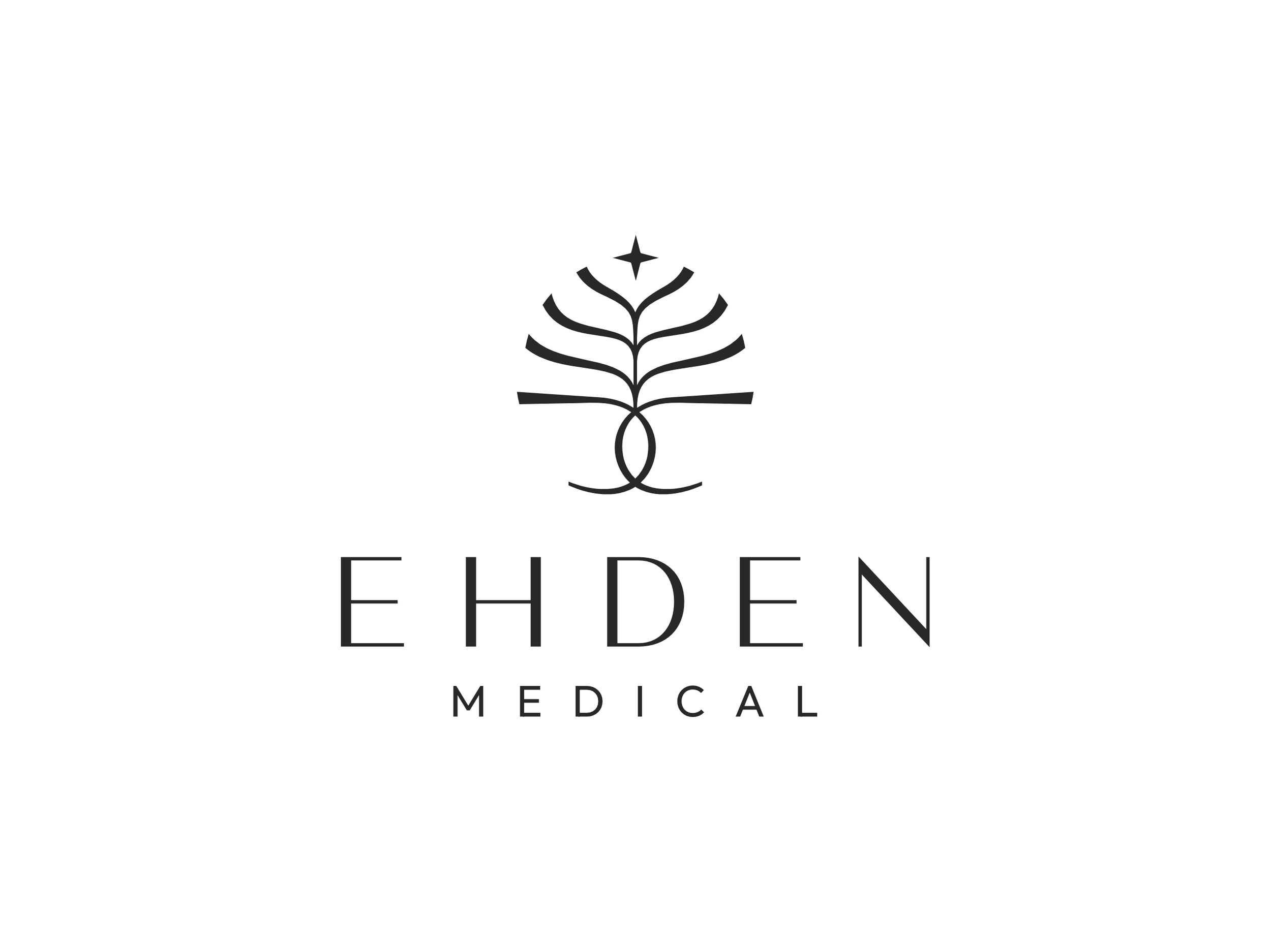Ehden Aesthetics Branding