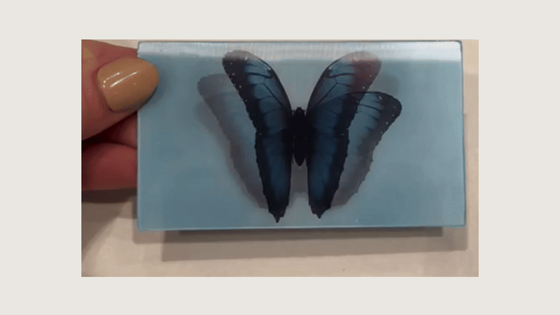 12.gif
