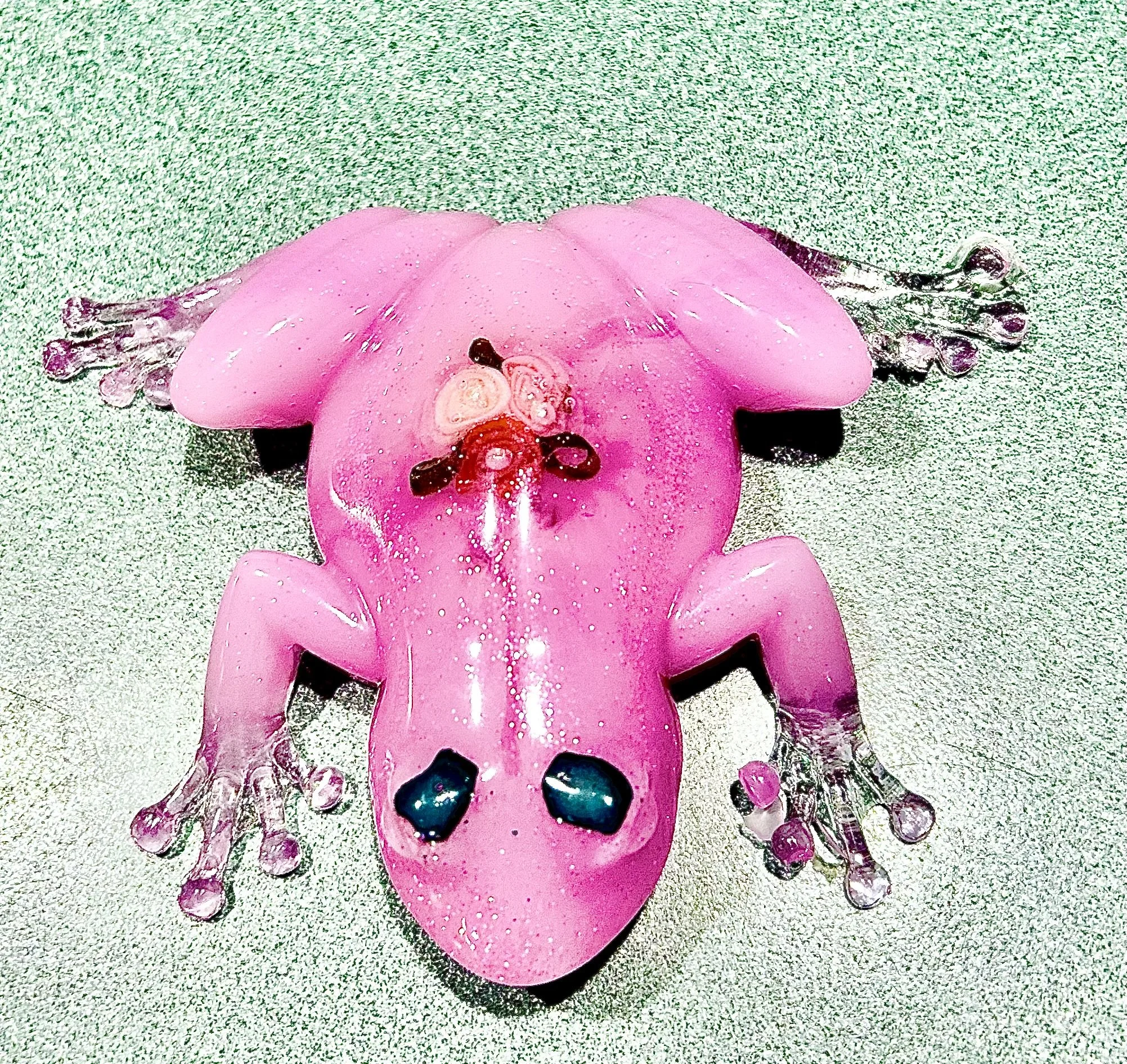 Pink Frog