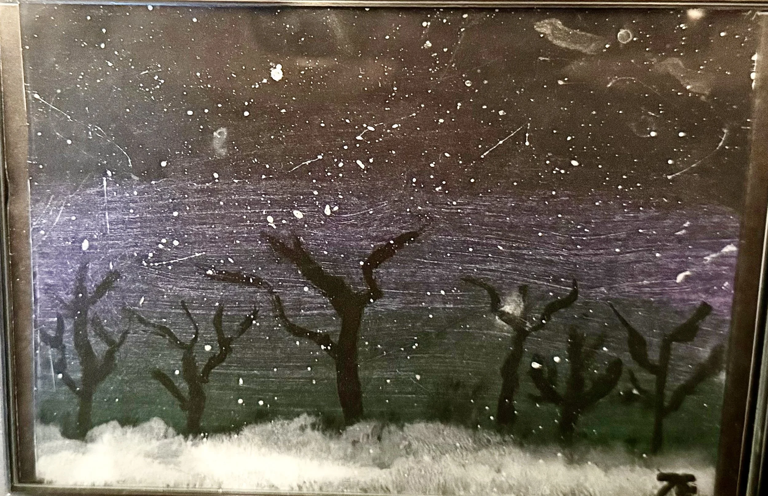Winter Frost