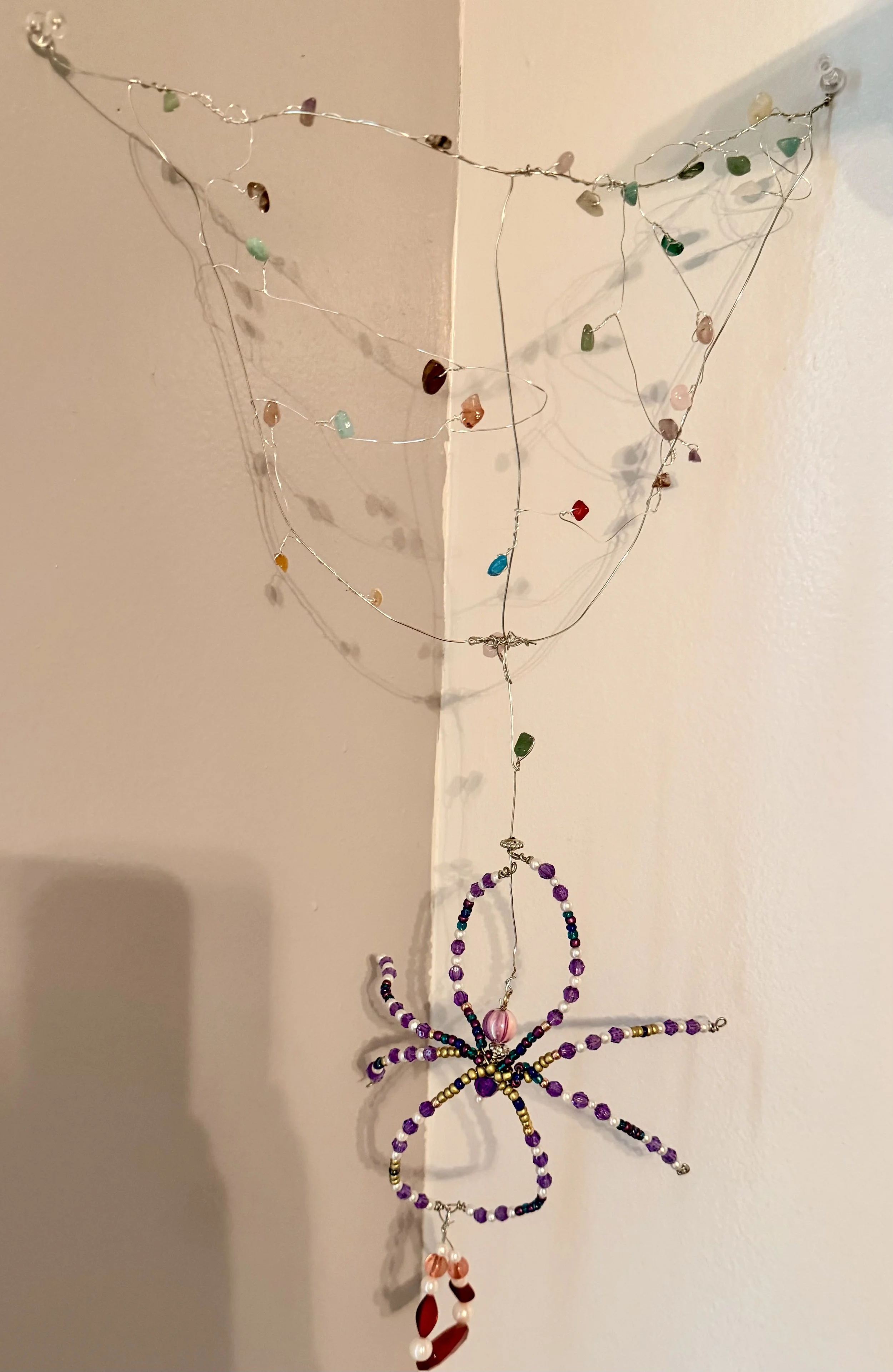 Extra large purple spider with web