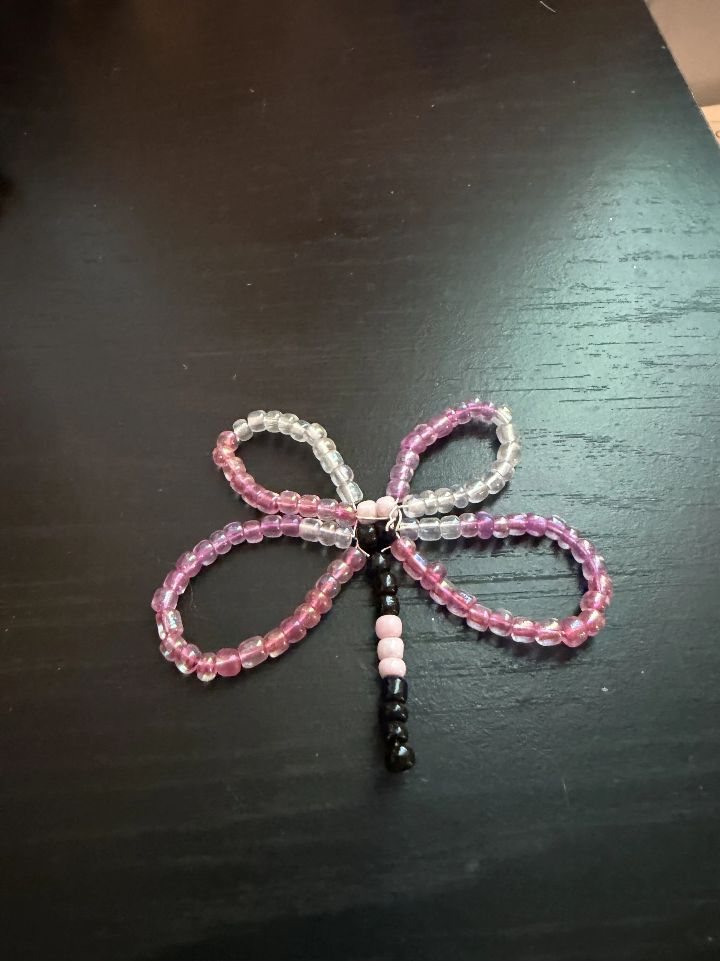 Pink and Blue Dragonfly