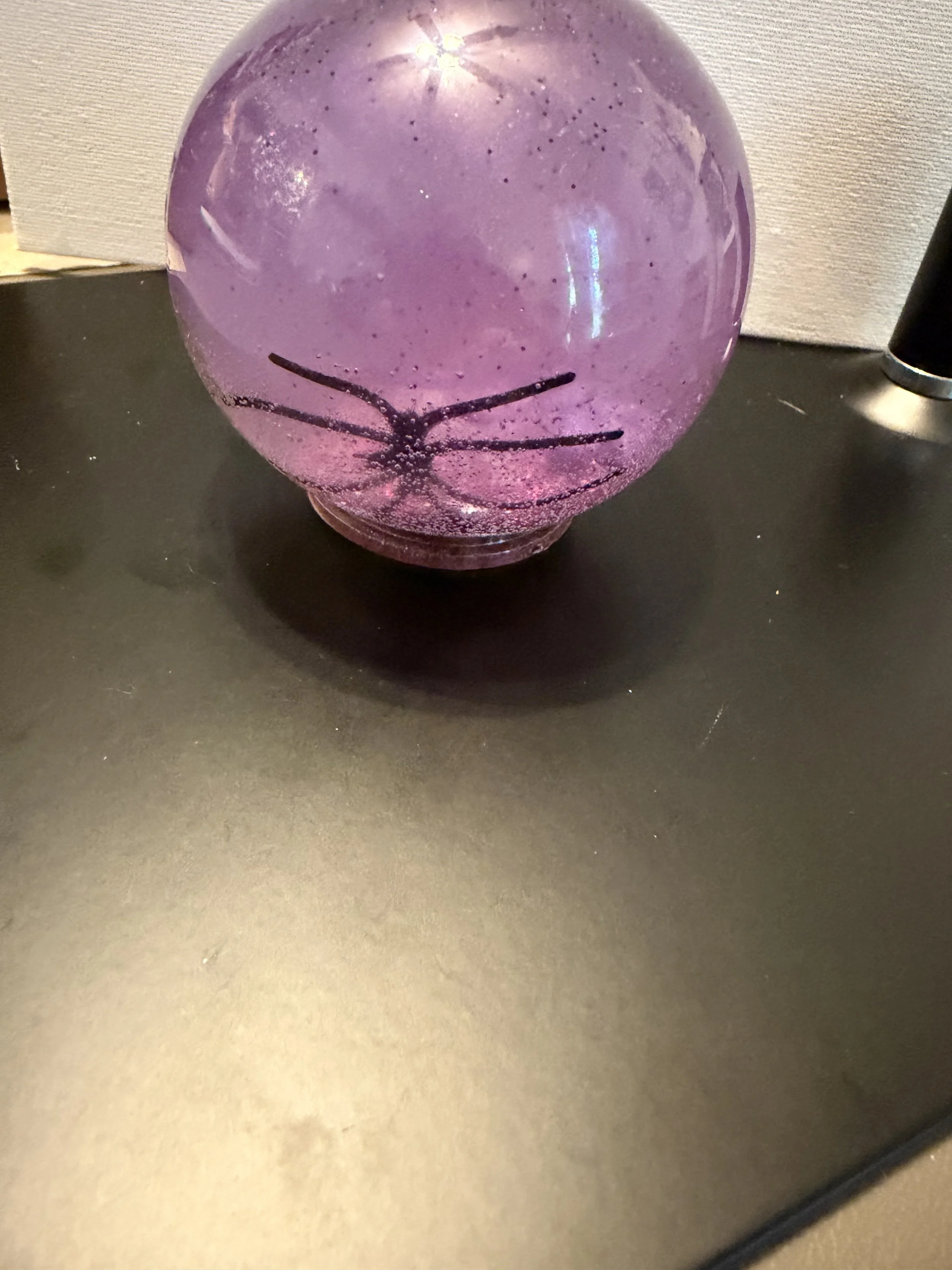 Spider Globe