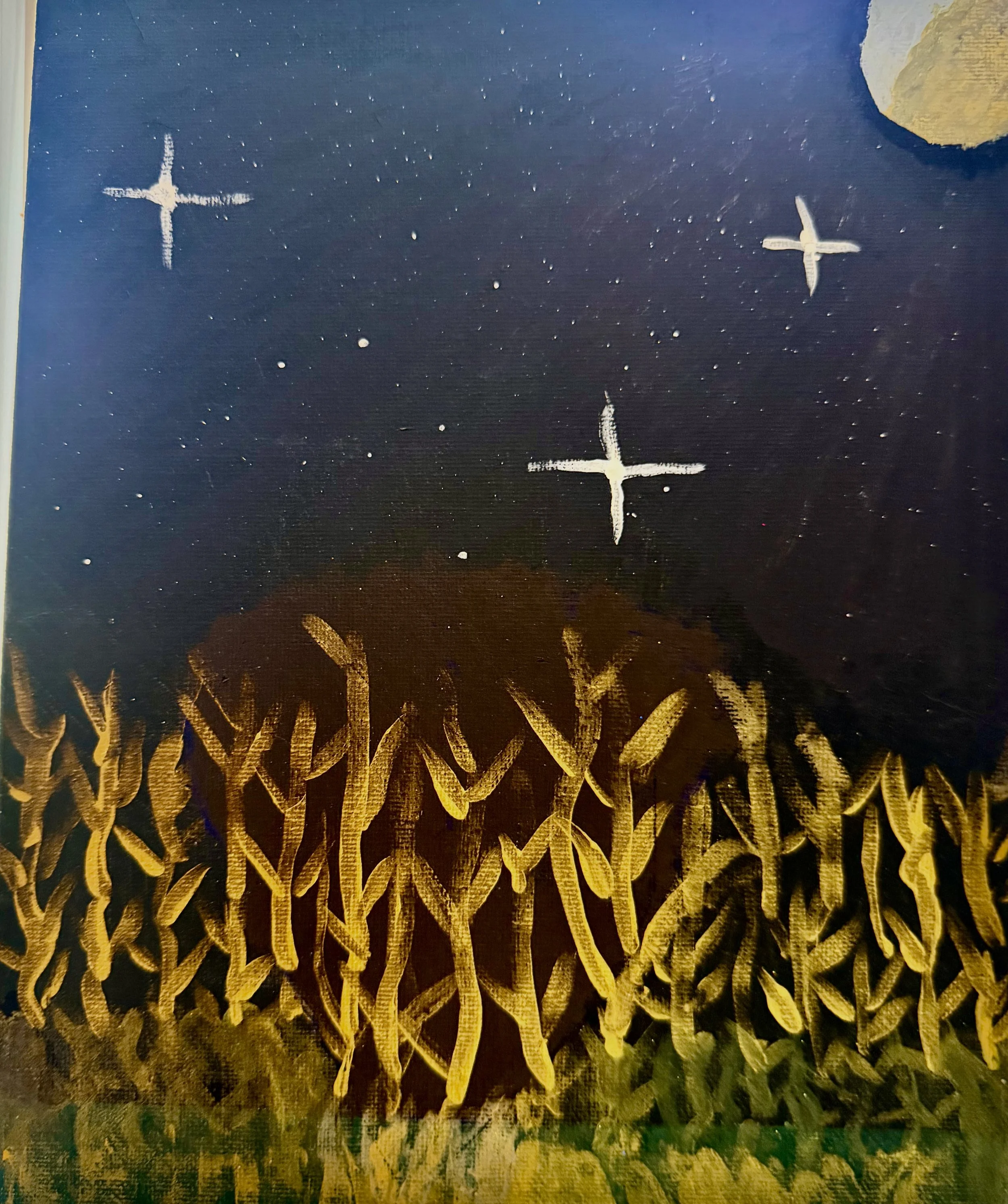 Autmn Night in a Cornfield