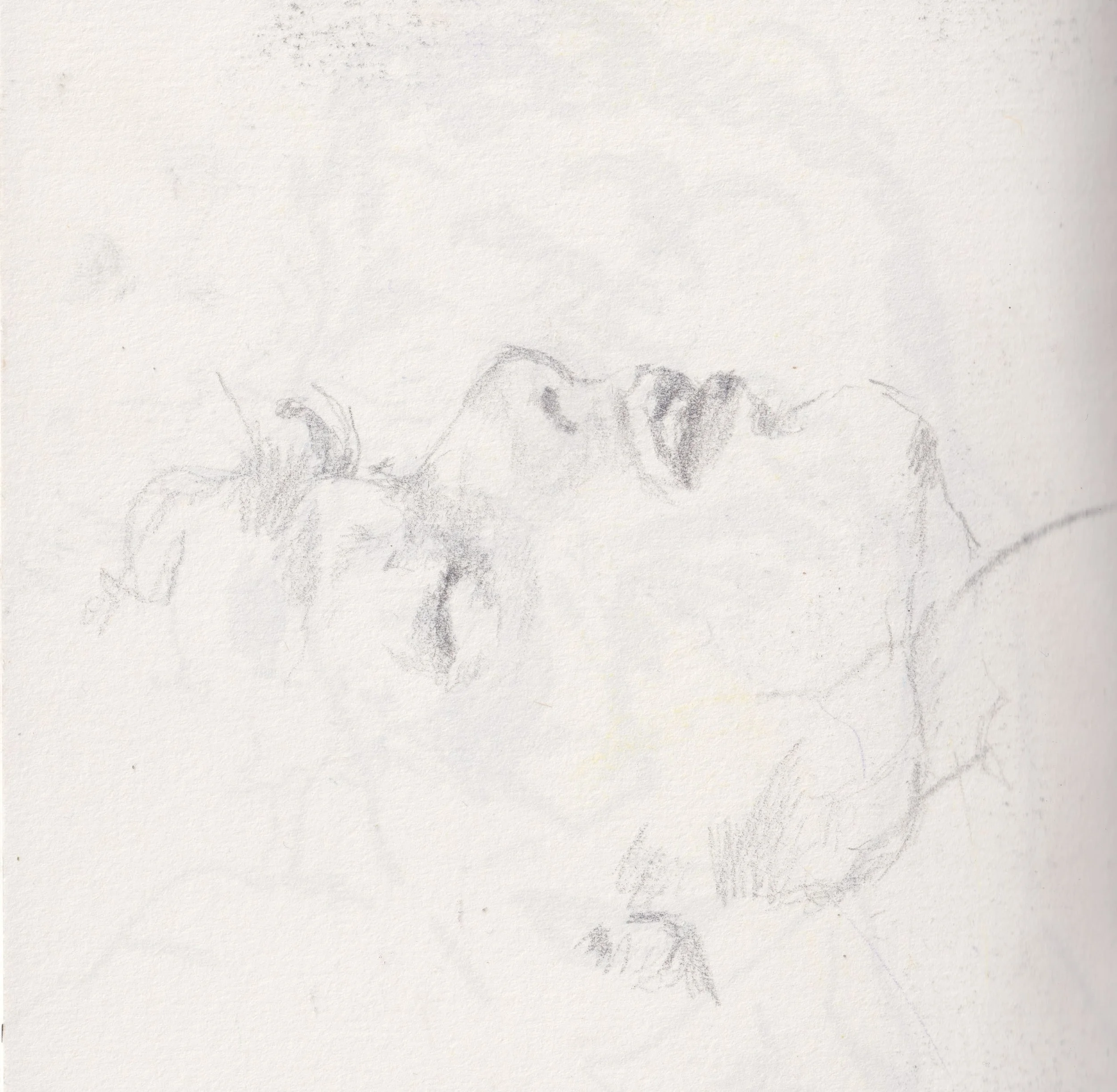 Sketchbook scan, 2026