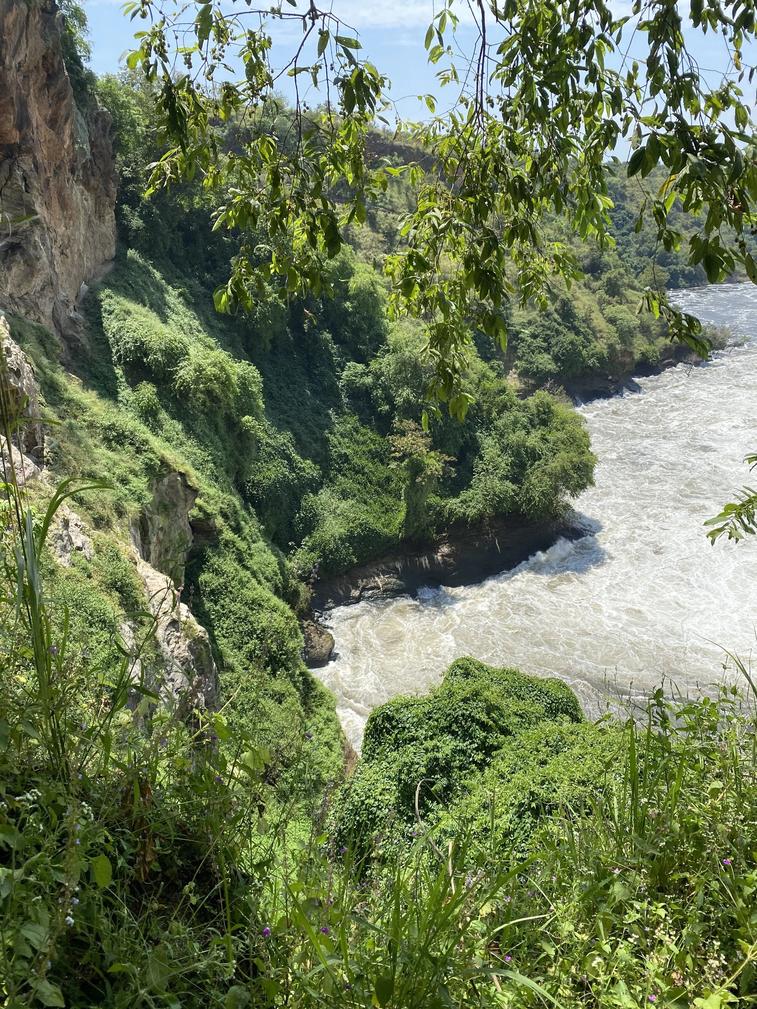 857cdde7e7efc869-photo.jpg