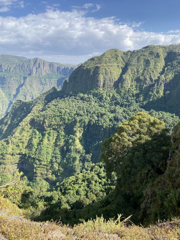 C0E86168-D80B-452E-B067-86349DB0D96A_1_105_c.jpeg