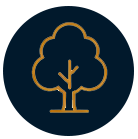 Icon of a tree with a blue background
