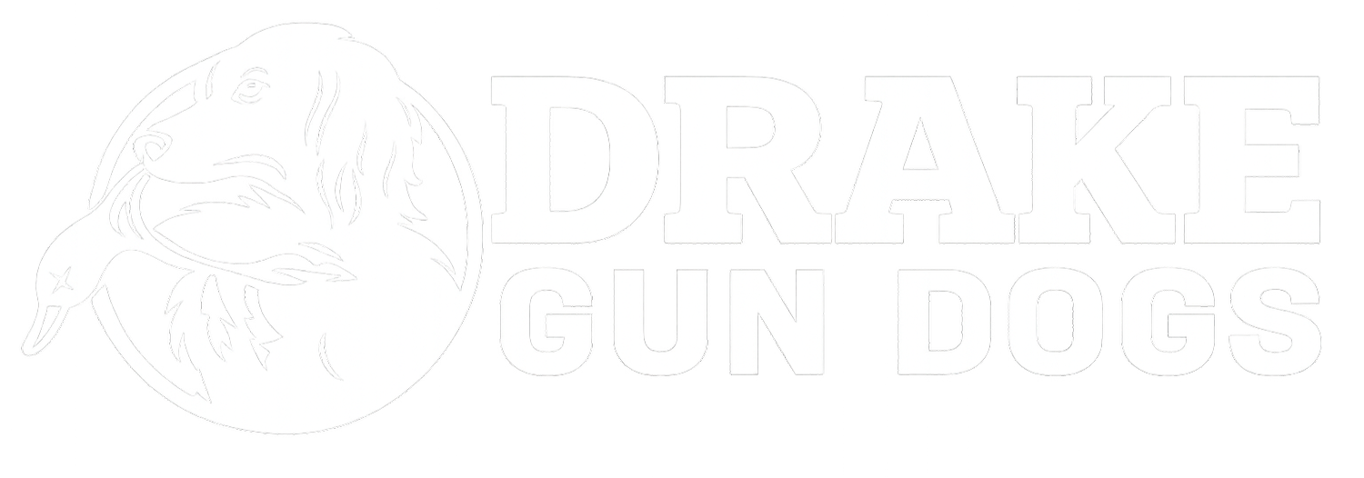 Drake Gun Dogs