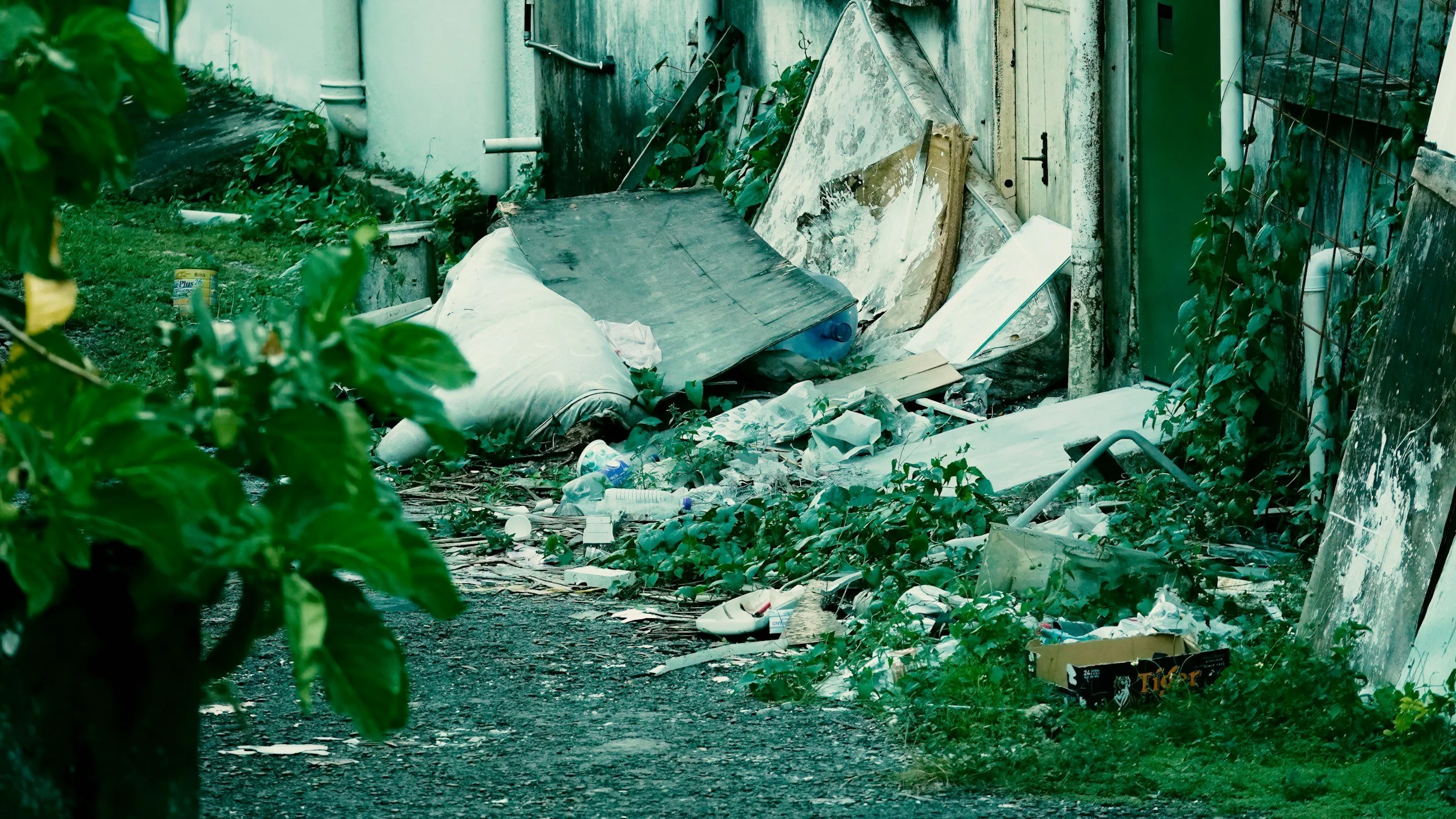A cluttered outdoor area with trash, debris, and overgrown plants, including a toppled mattress, plastic bottles, and various discarded items.