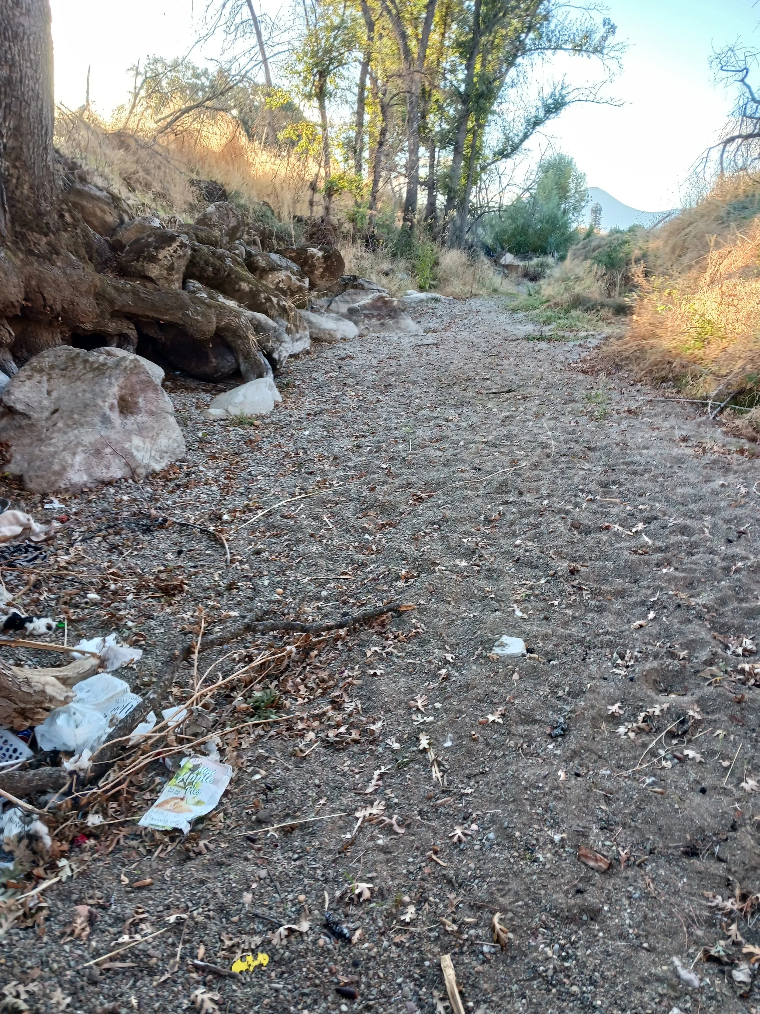 Burns Valley Creek After