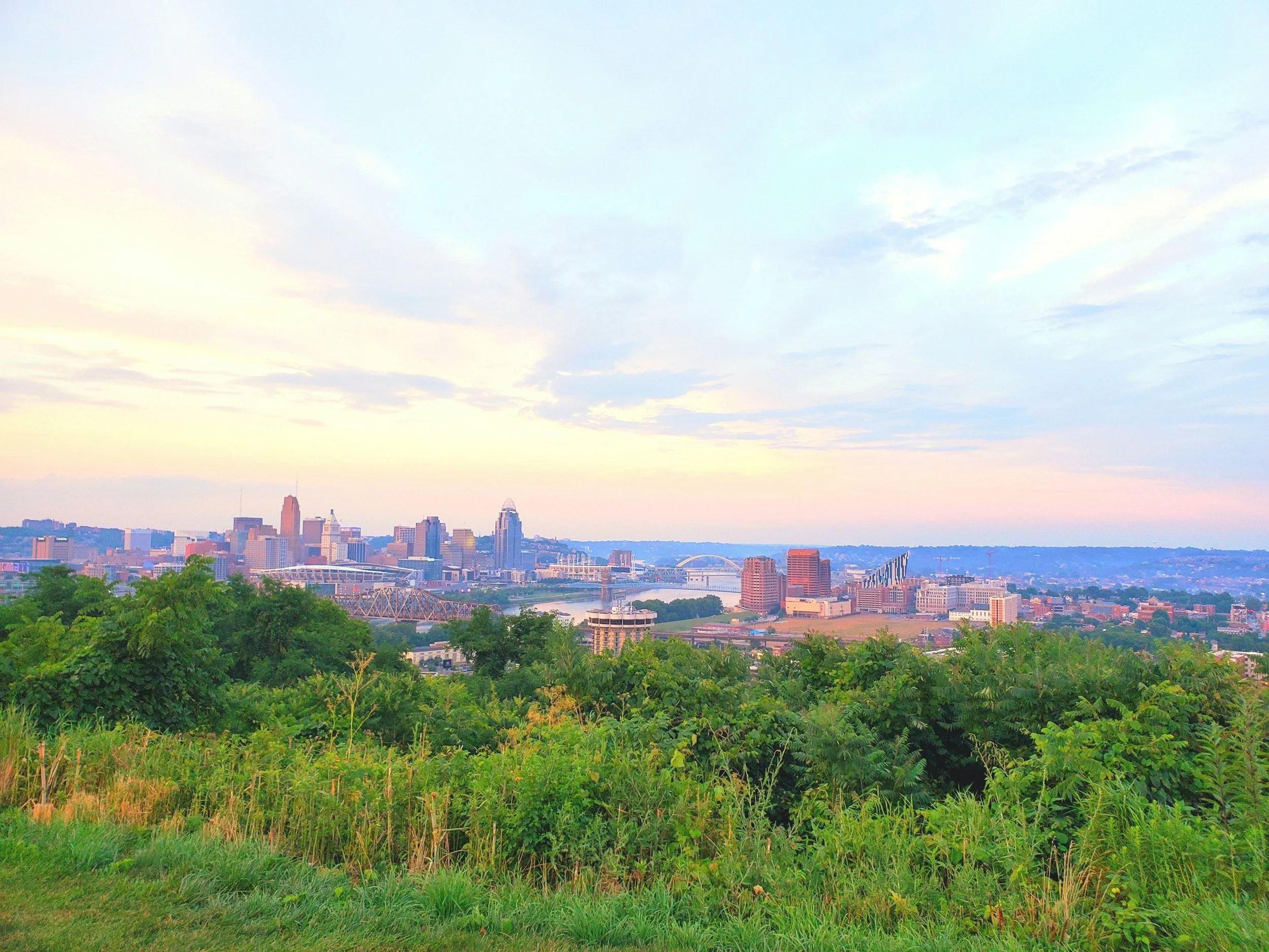 Skyline of Cincinnati, Ohio with tall buildings, a river, and a bridge, viewed from a green hillside with trees and grass in the foreground.