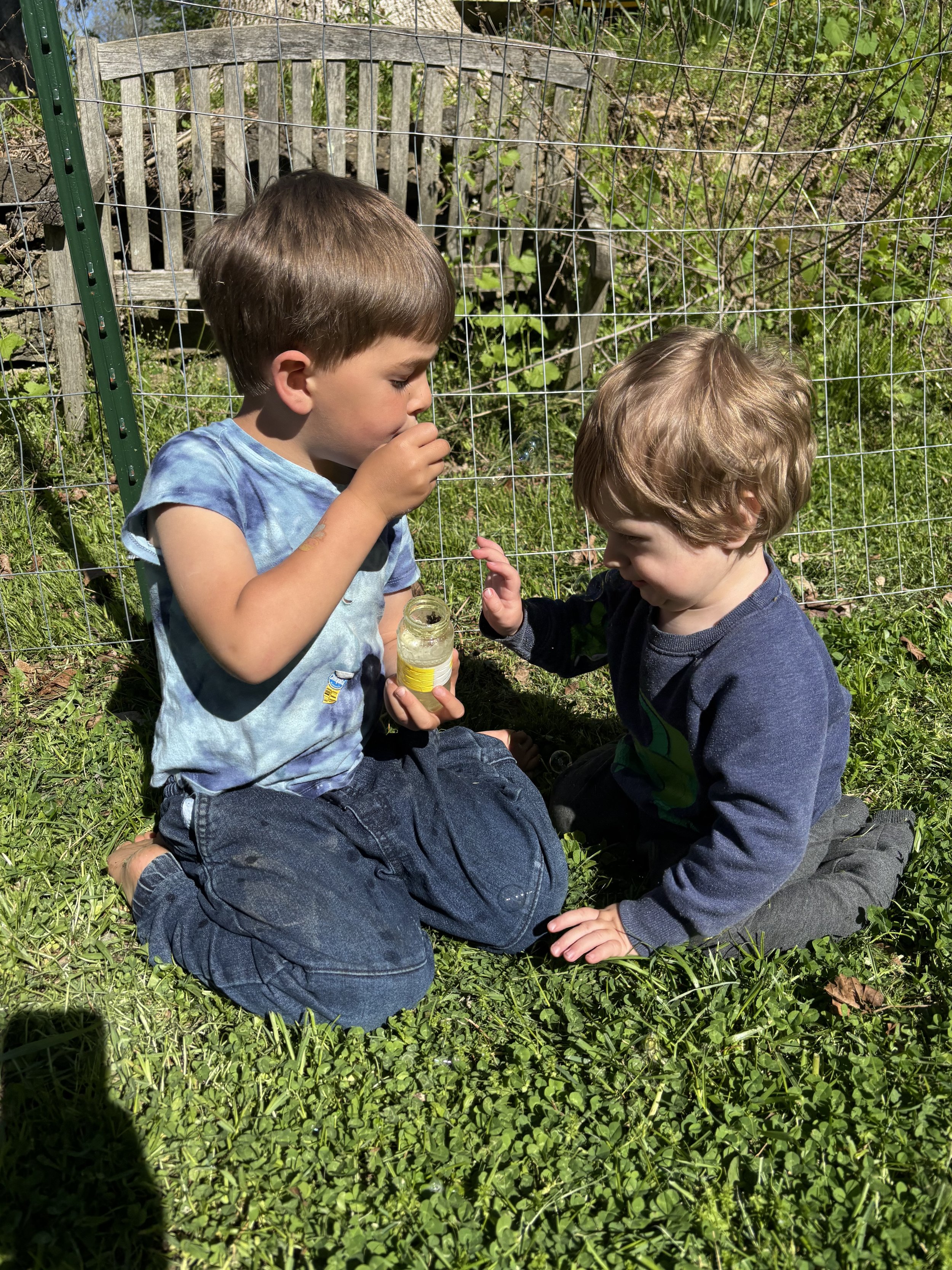 Two young boys sitting outdoors on grass near a wire fence, holding a small jar, and examining its contents closely on a sunny day.