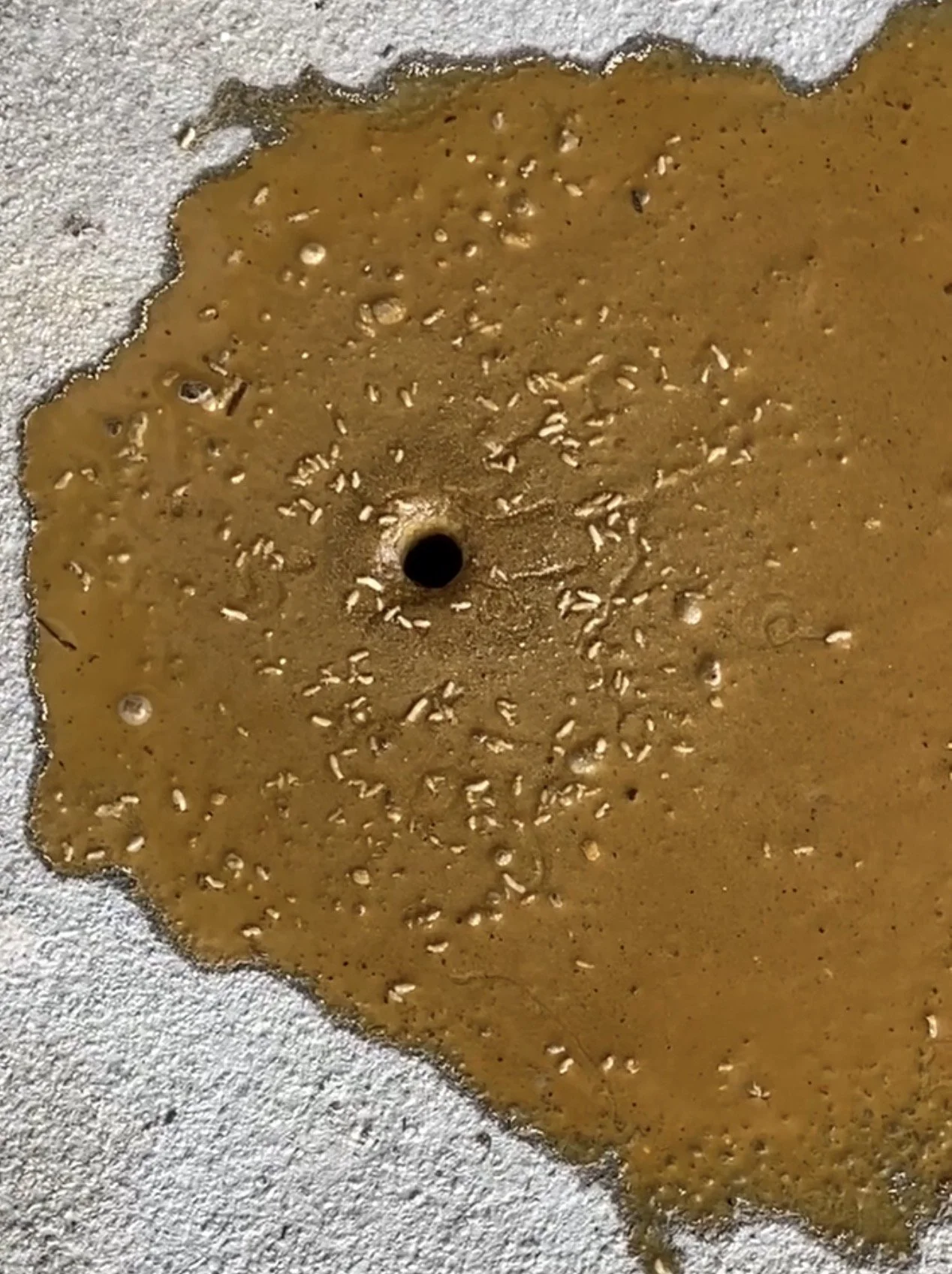 TERMITES CONTROL
